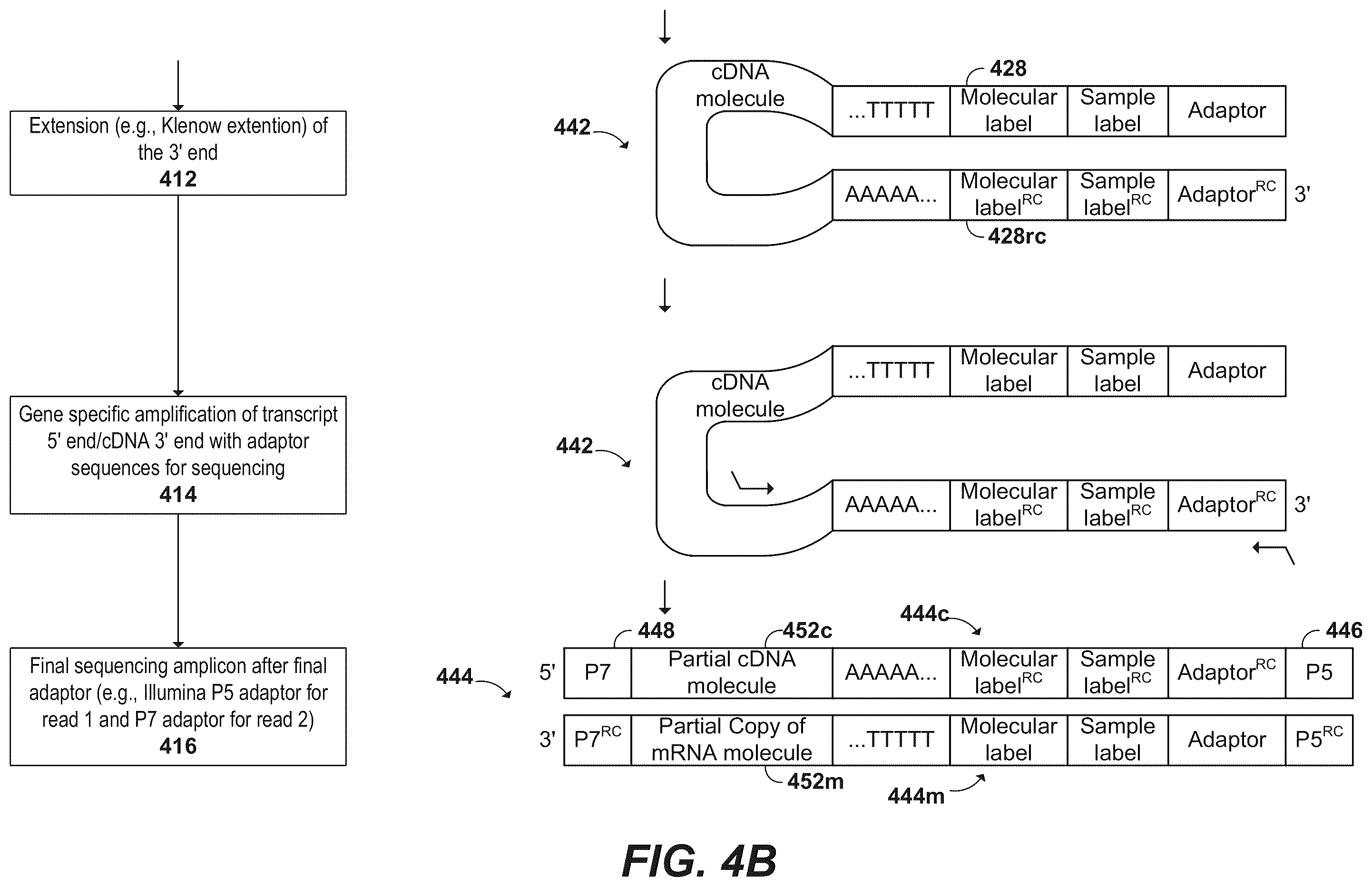 Patent US12378594 Figure 5 – Primers for immune repertoire profiling