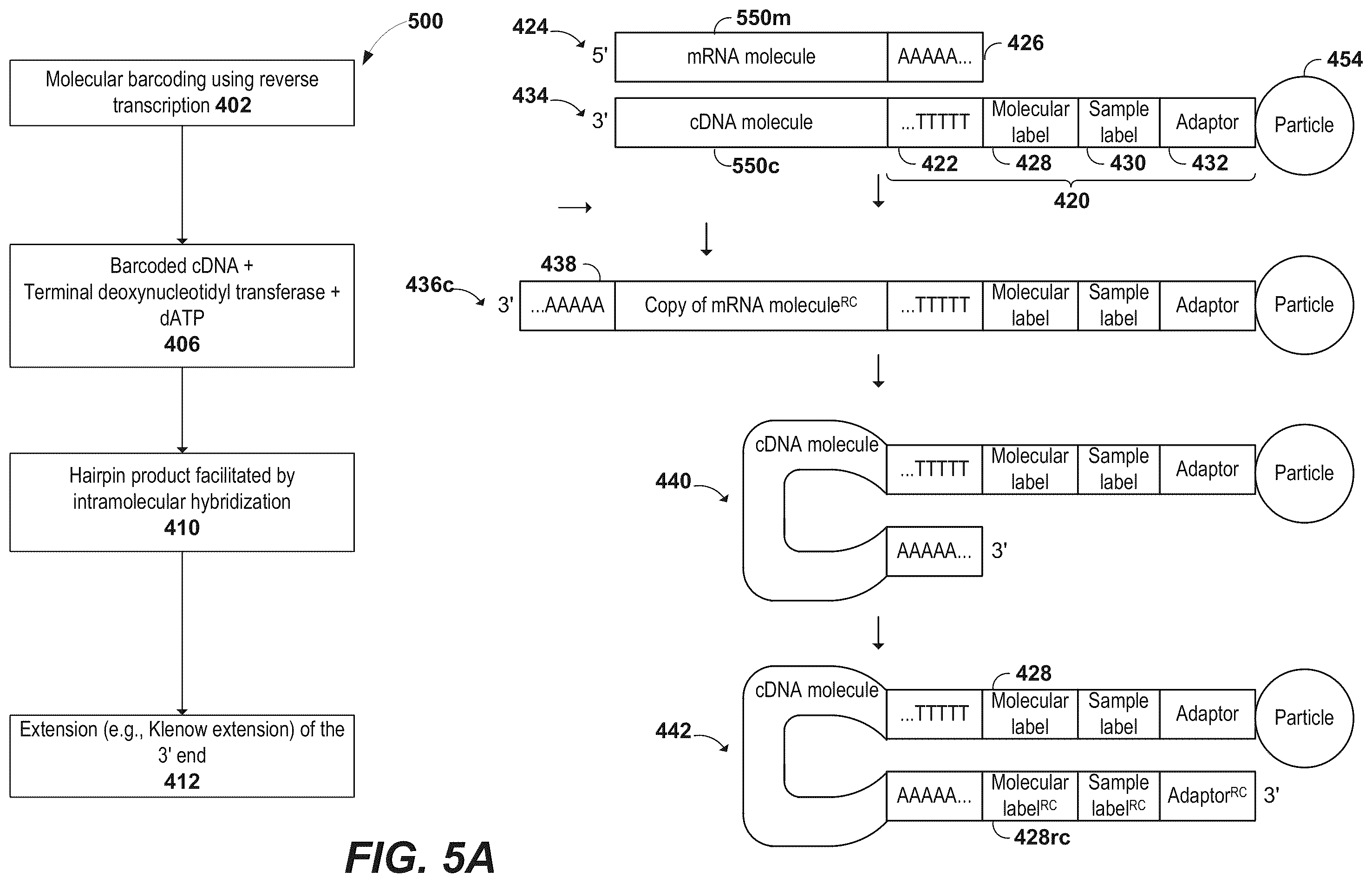 Patent US12378594 Figure 6 – Primers for immune repertoire profiling