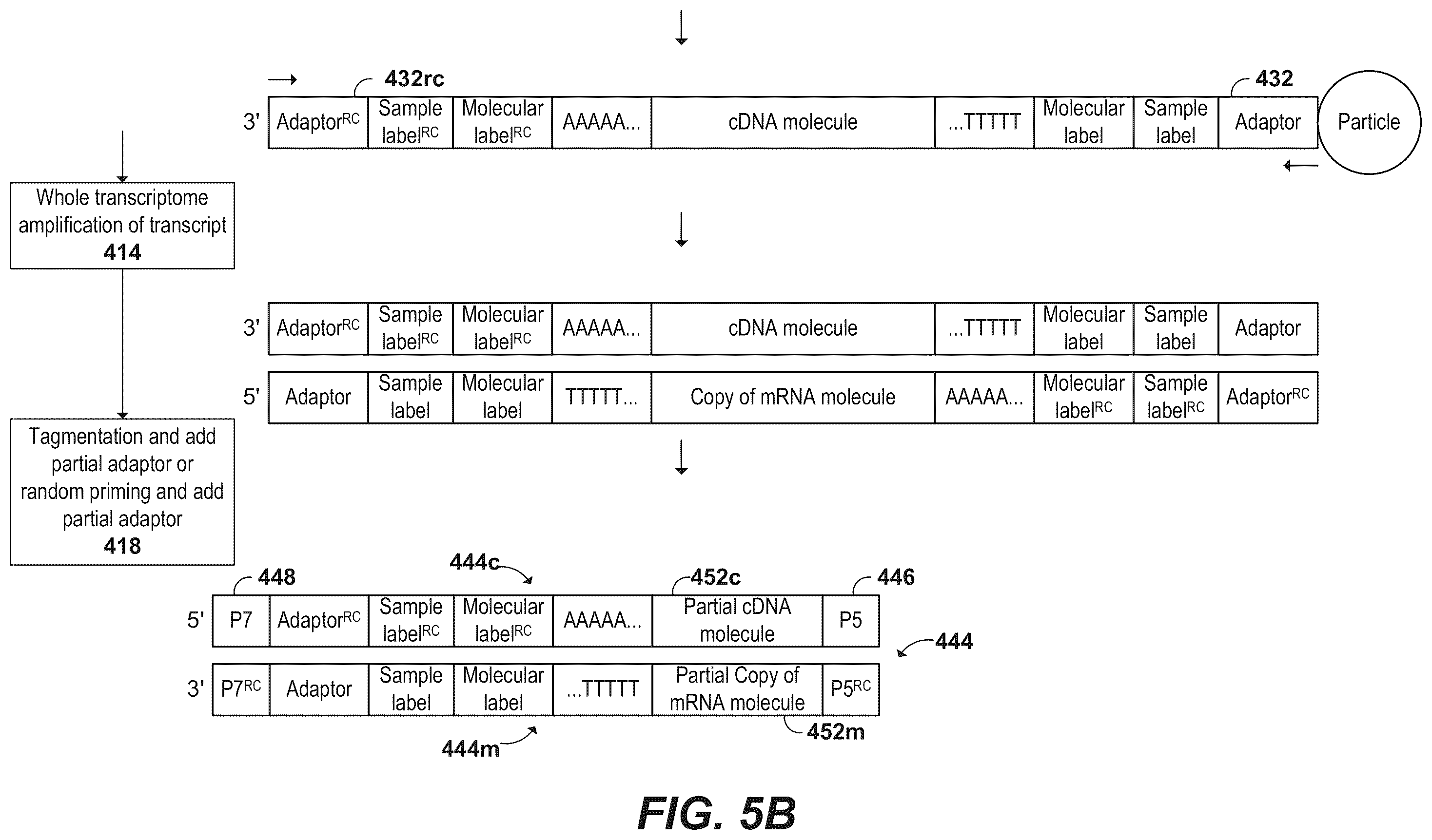 Patent US12378594 Figure 7 – Primers for immune repertoire profiling