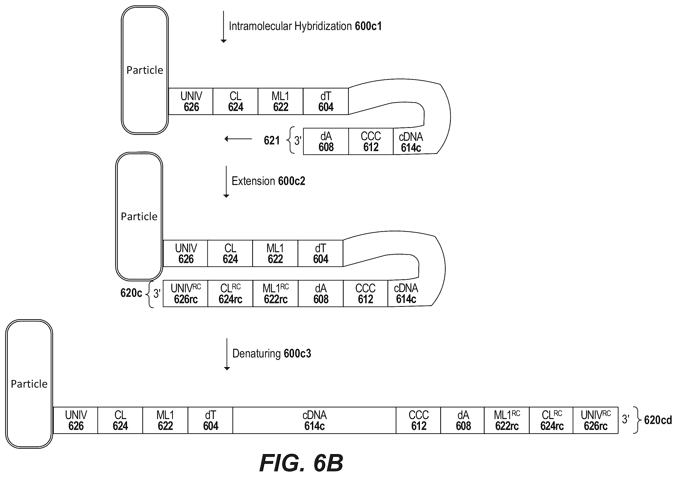 Patent US12378594 Figure 9 – Primers for immune repertoire profiling