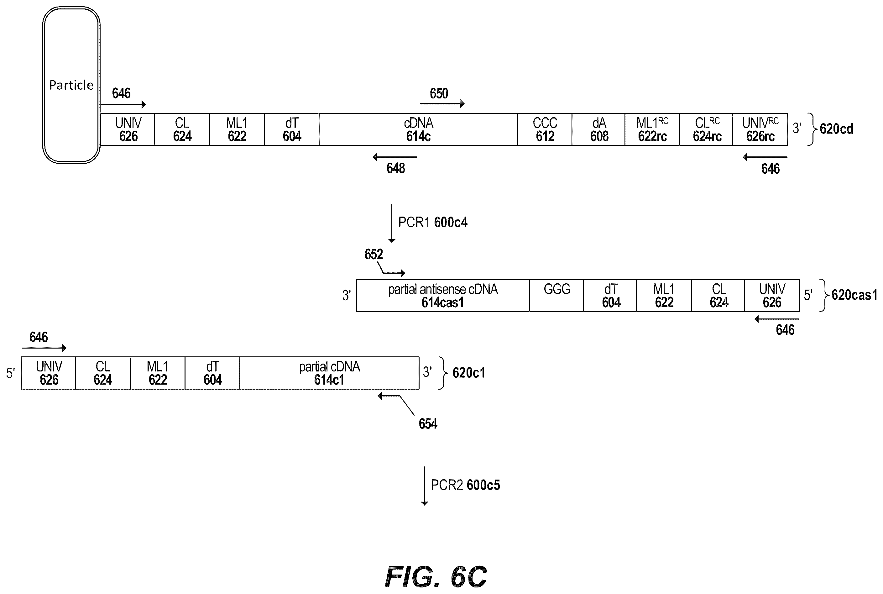 Patent US12378594 Figure 10 – Primers for immune repertoire profiling