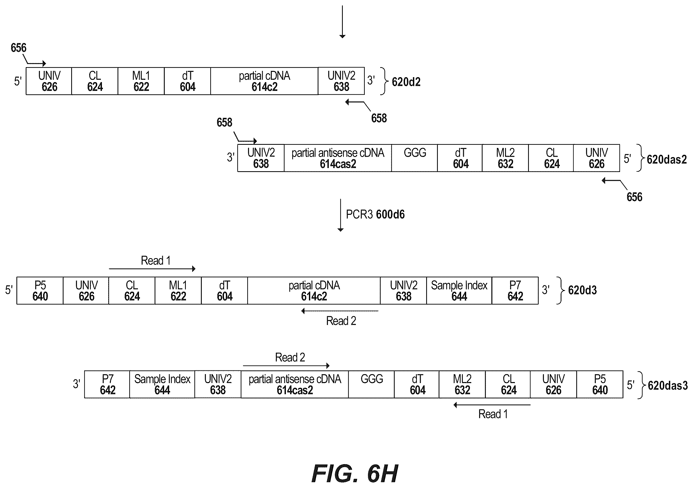Patent US12378594 Figure 15 – Primers for immune repertoire profiling