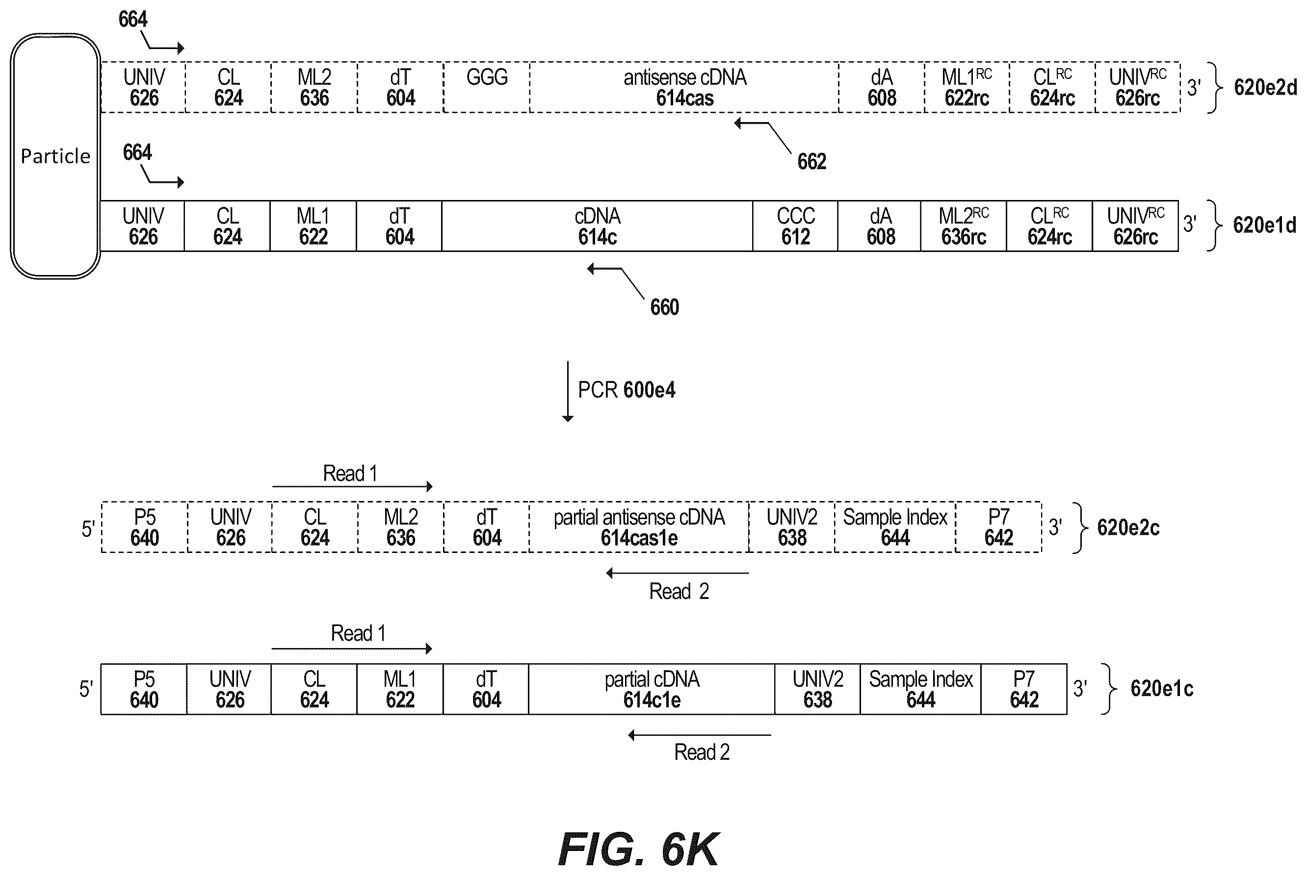 Patent US12378594 Figure 18 – Primers for immune repertoire profiling
