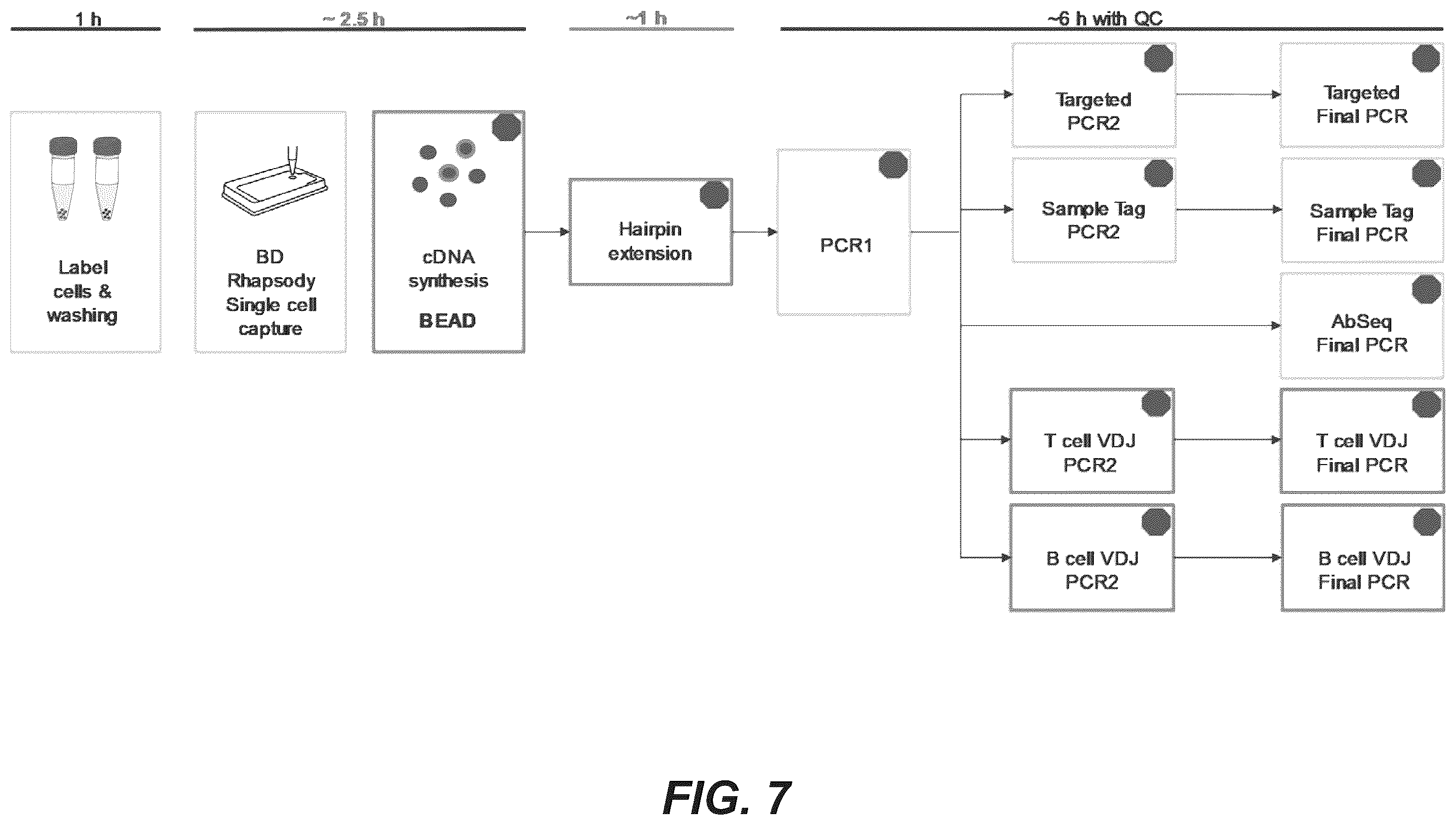 Patent US12378594 Figure 19 – Primers for immune repertoire profiling