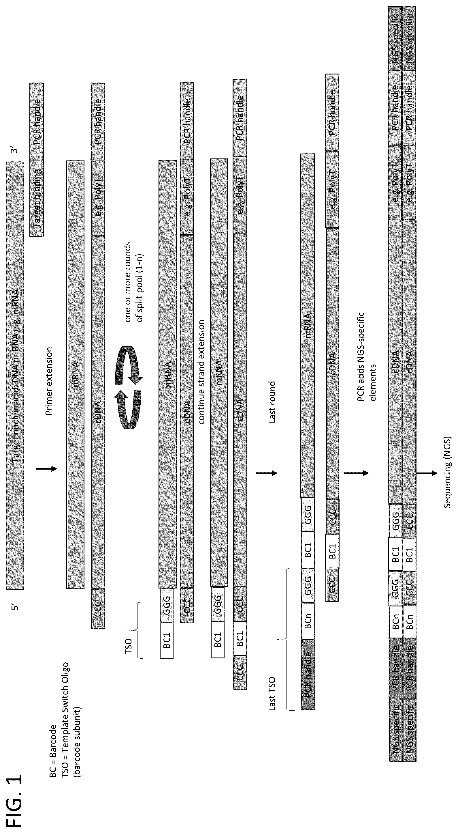 Patent US12378596 — Whole transcriptome analysis in single cells — Figure 1