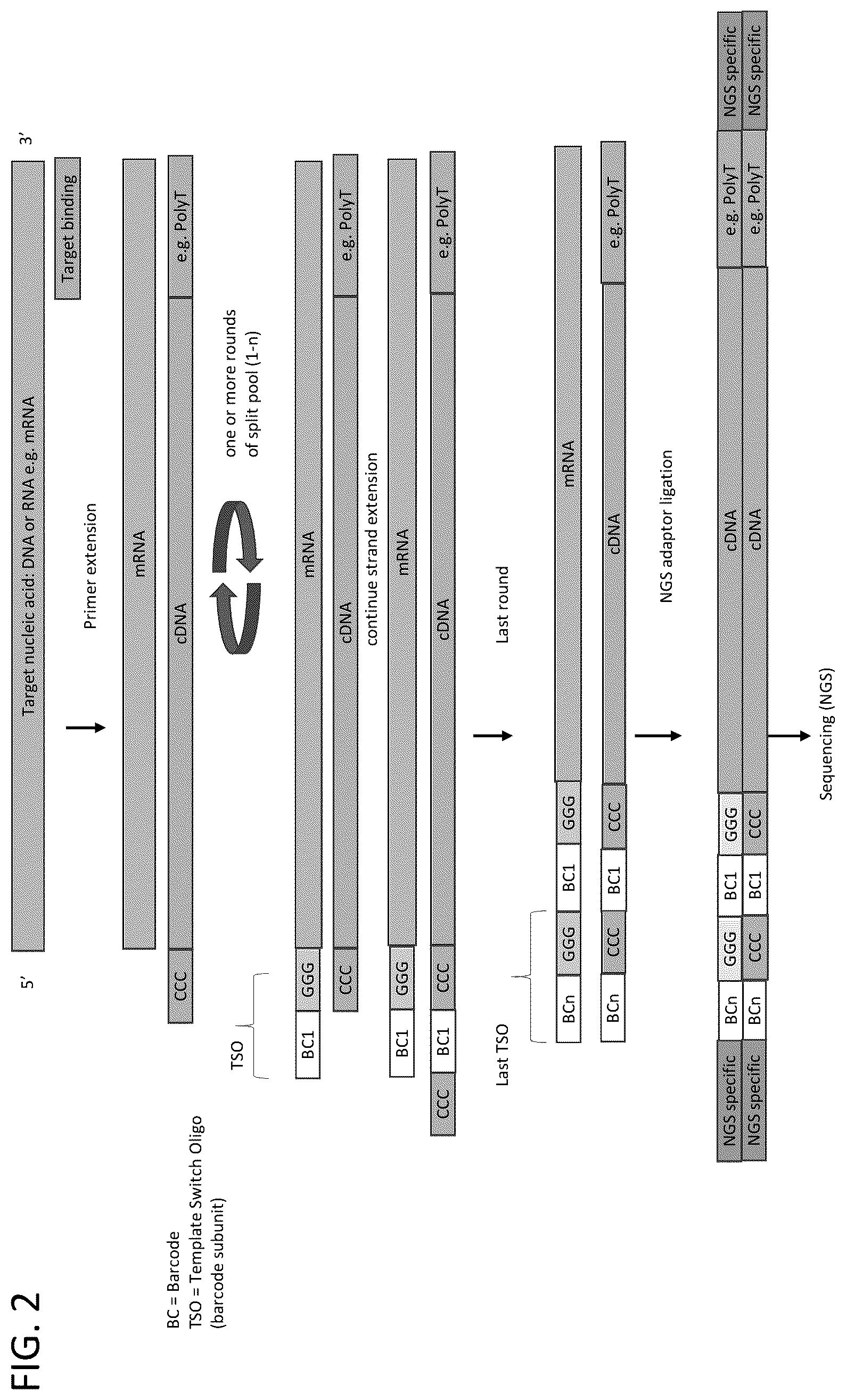 Patent US12378596 Figure 2 – Whole transcriptome analysis in single cells