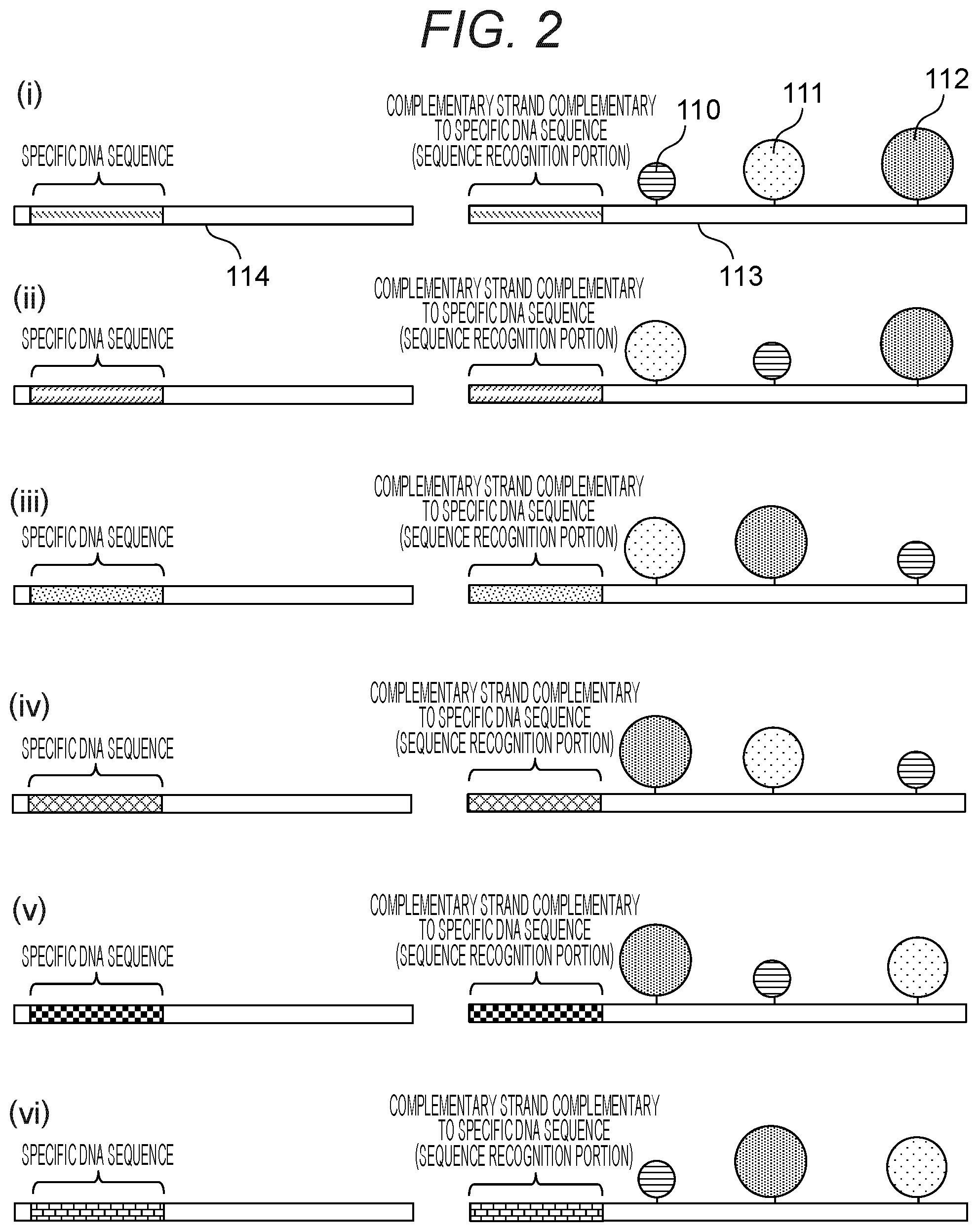 Patent US12378597 Figure 2 – Probe, probe set, and method for identifying desired DNA sequence in solution