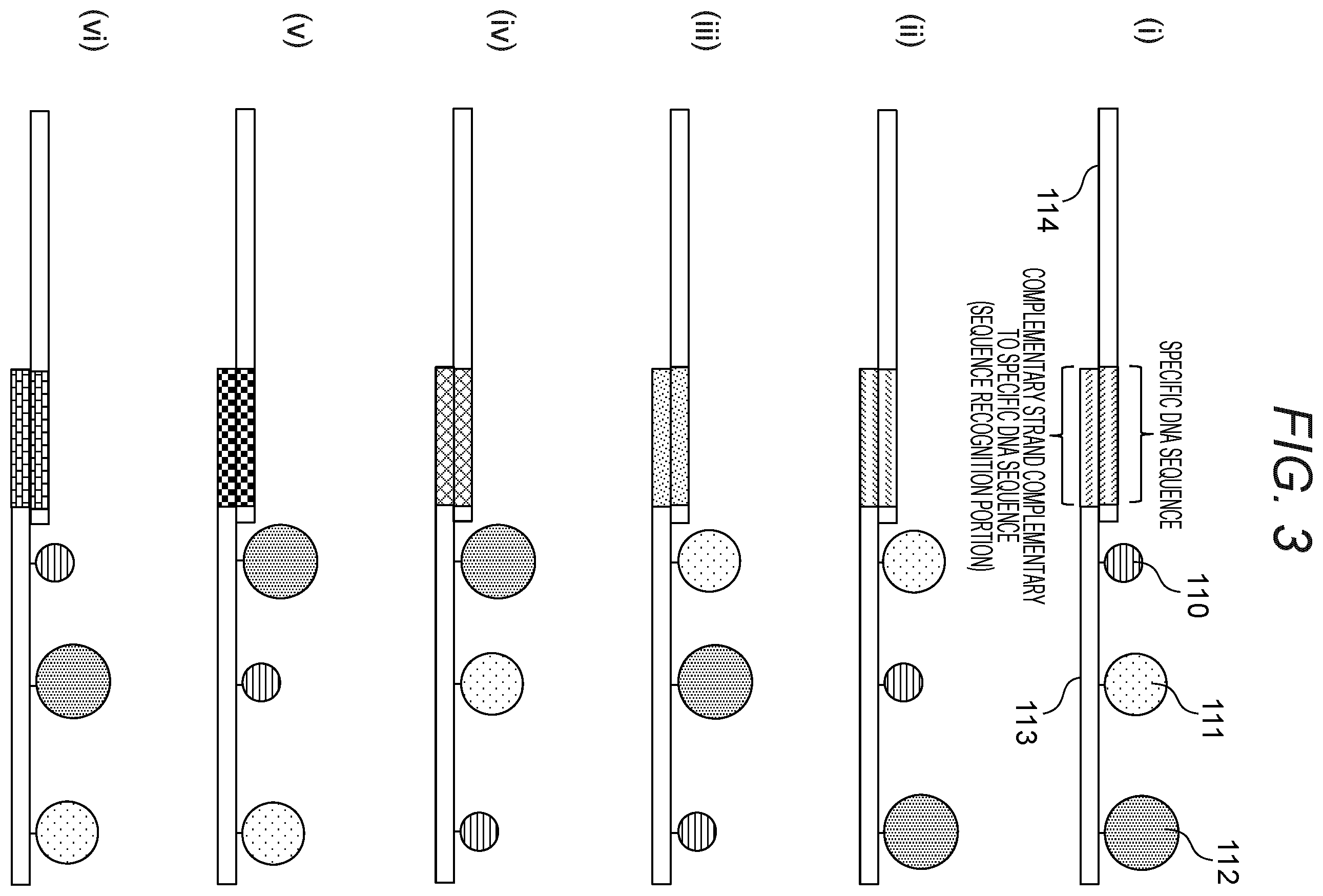 Patent US12378597 Figure 3 – Probe, probe set, and method for identifying desired DNA sequence in solution