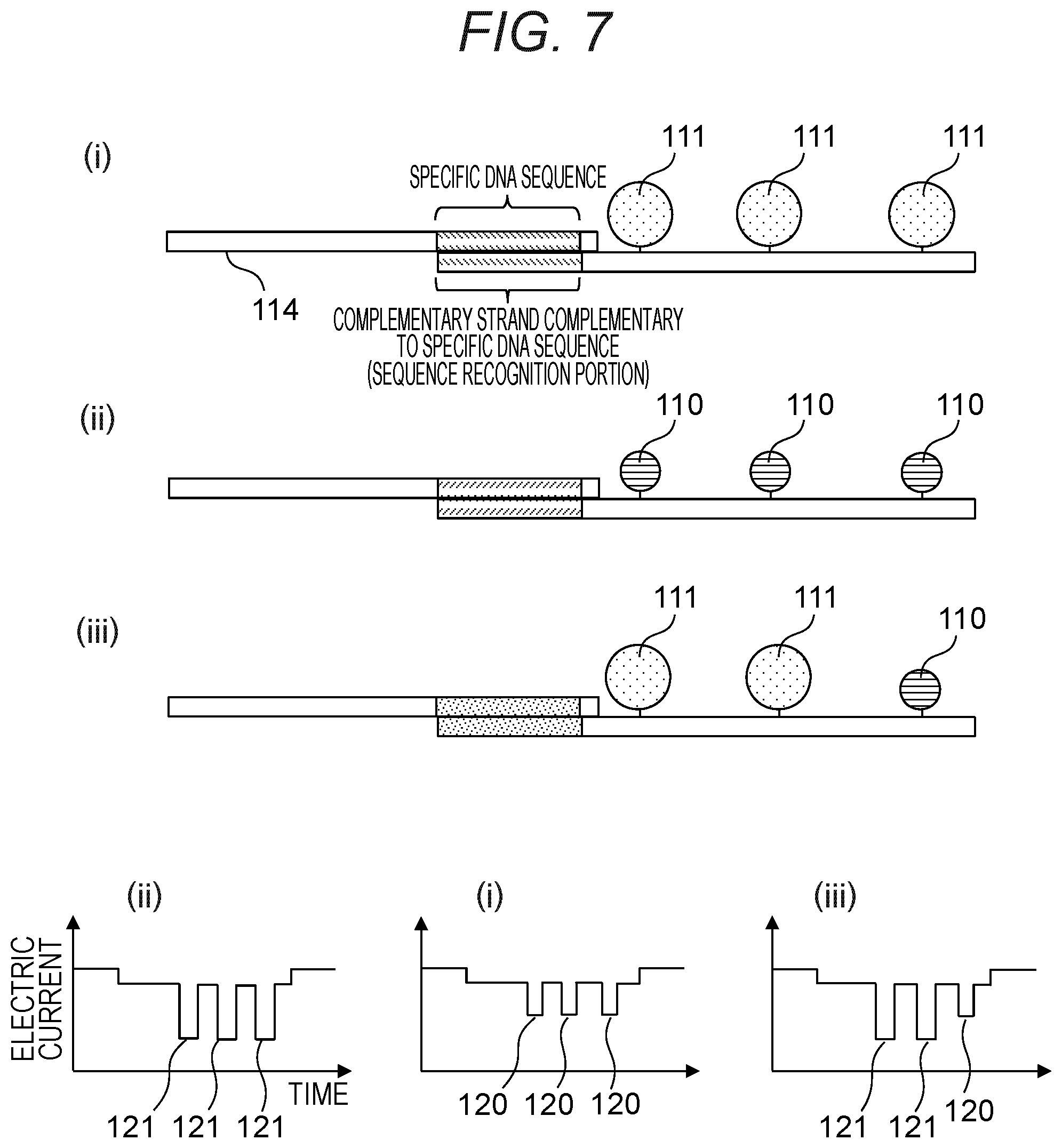 Patent US12378597 Figure 7 – Probe, probe set, and method for identifying desired DNA sequence in solution