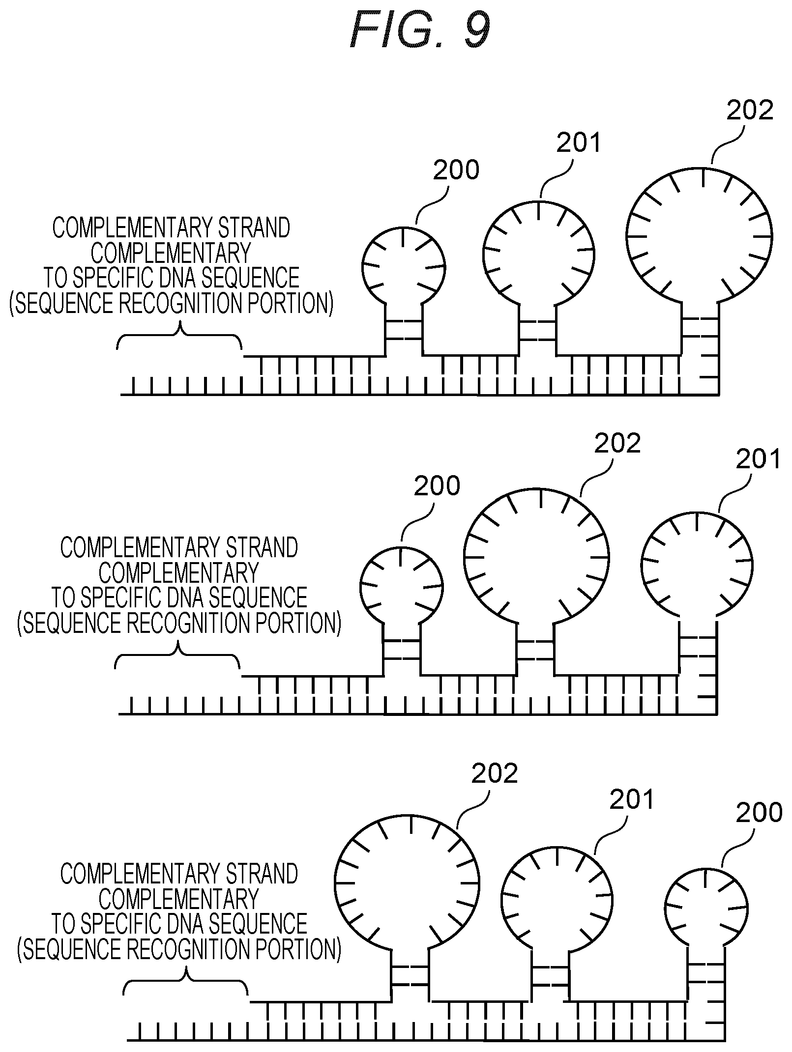 Patent US12378597 Figure 9 – Probe, probe set, and method for identifying desired DNA sequence in solution