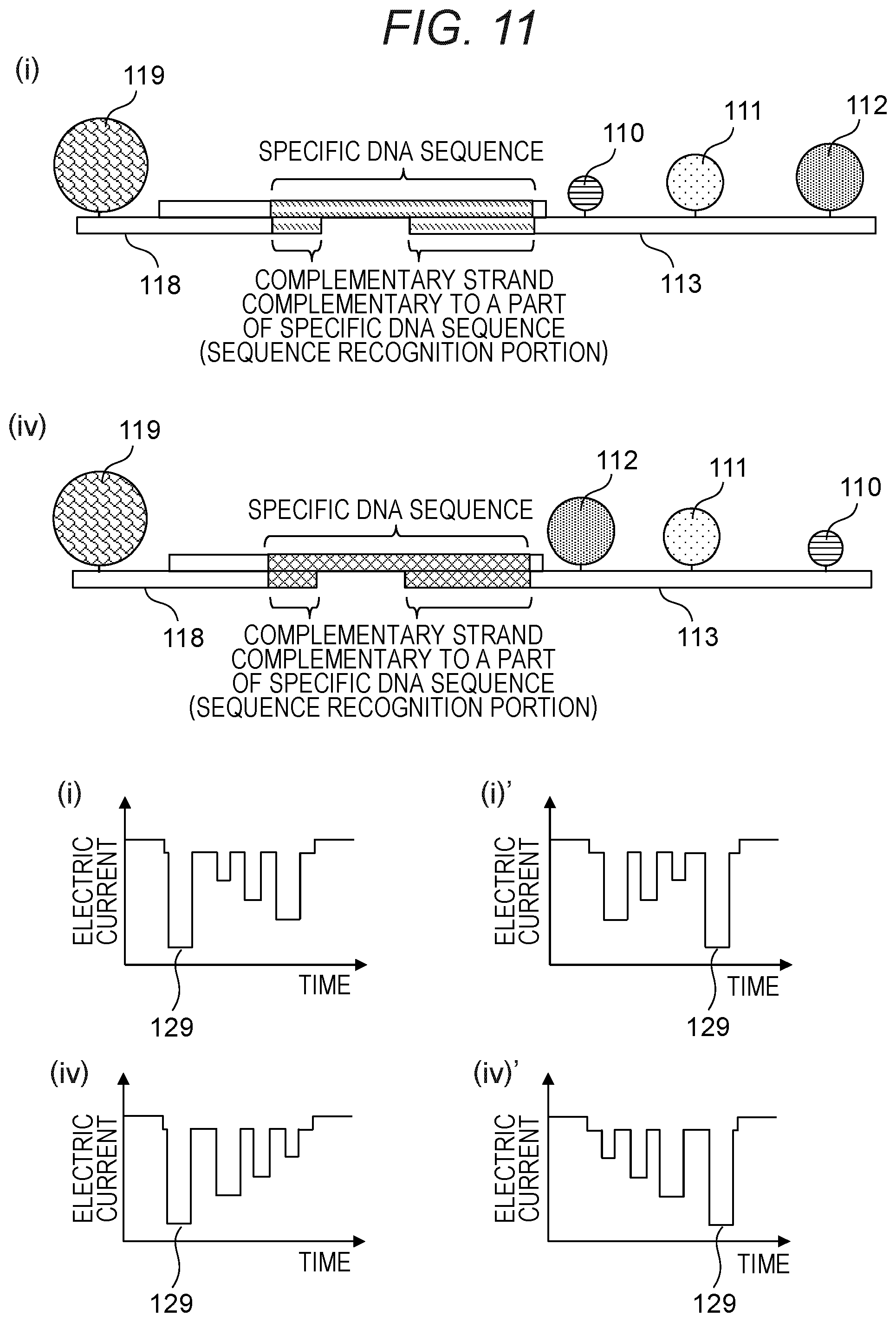 Patent US12378597 Figure 11 – Probe, probe set, and method for identifying desired DNA sequence in solution