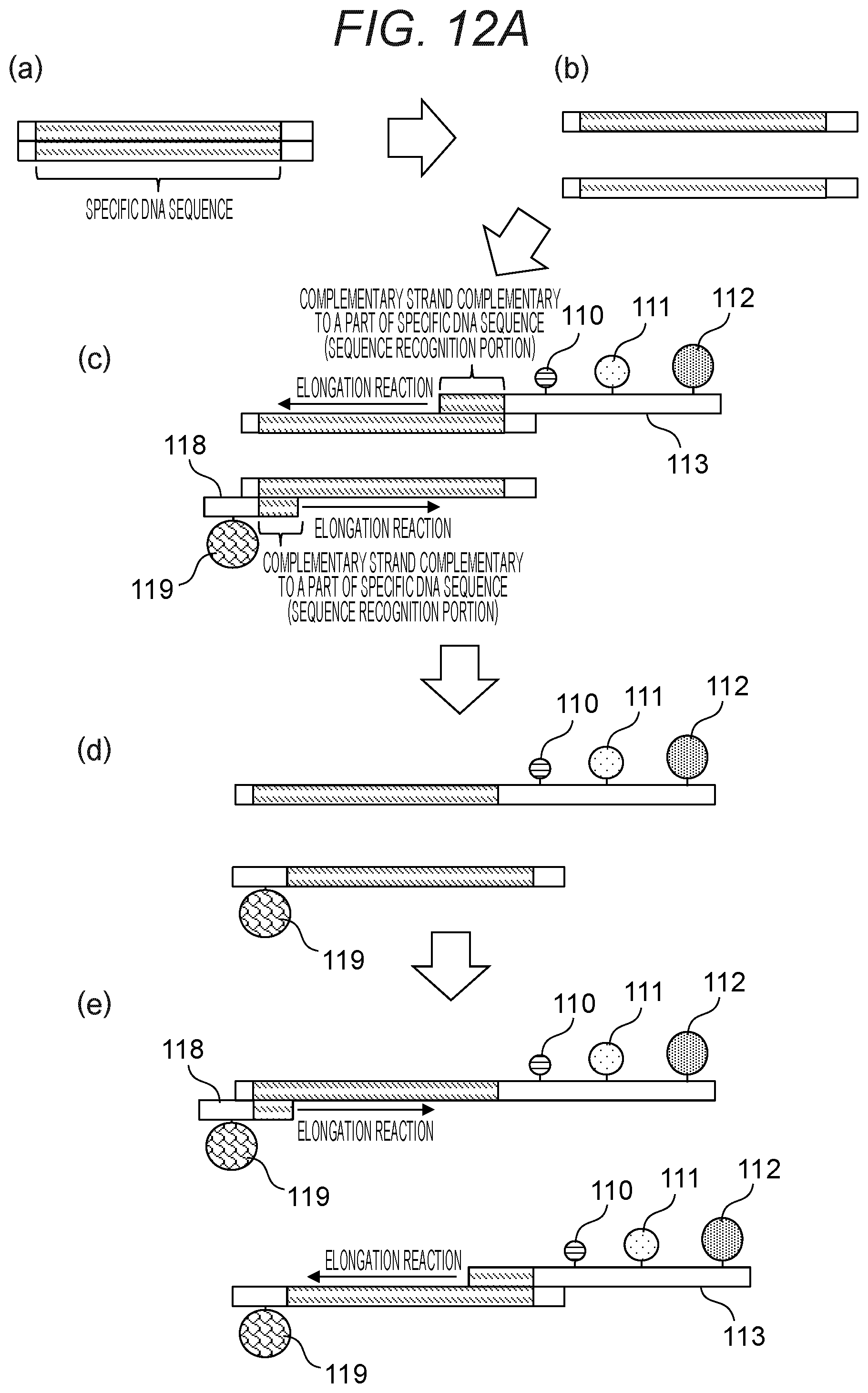 Patent US12378597 Figure 12 – Probe, probe set, and method for identifying desired DNA sequence in solution