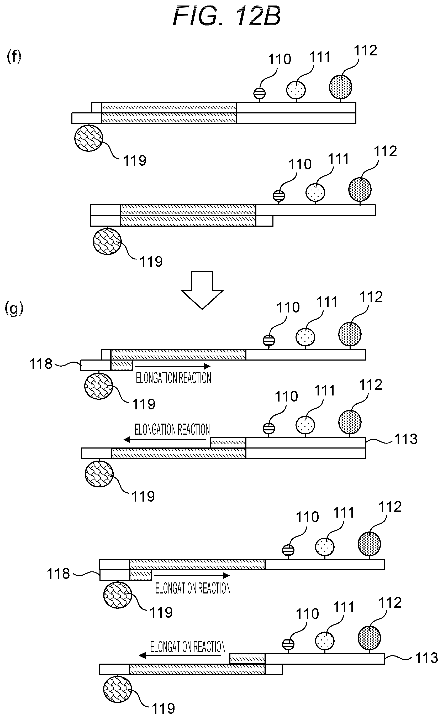 Patent US12378597 Figure 13 – Probe, probe set, and method for identifying desired DNA sequence in solution
