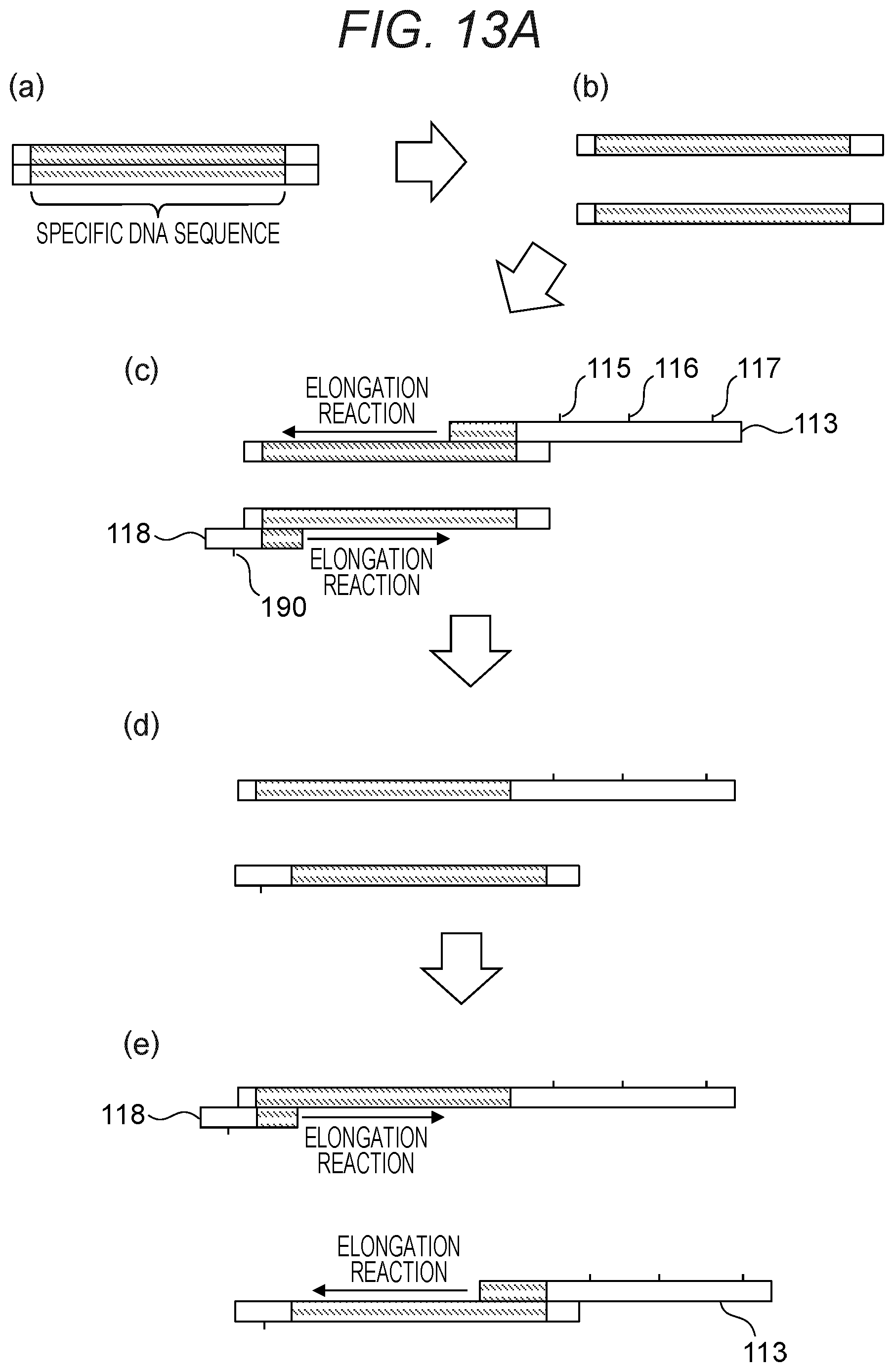 Patent US12378597 Figure 14 – Probe, probe set, and method for identifying desired DNA sequence in solution