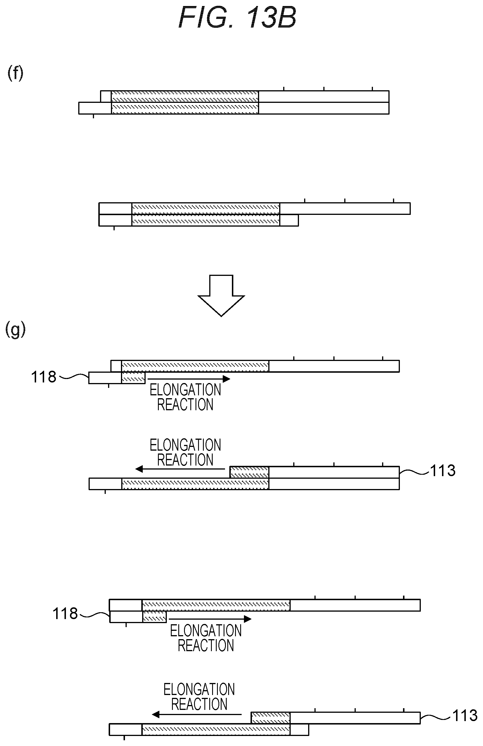 Patent US12378597 Figure 15 – Probe, probe set, and method for identifying desired DNA sequence in solution