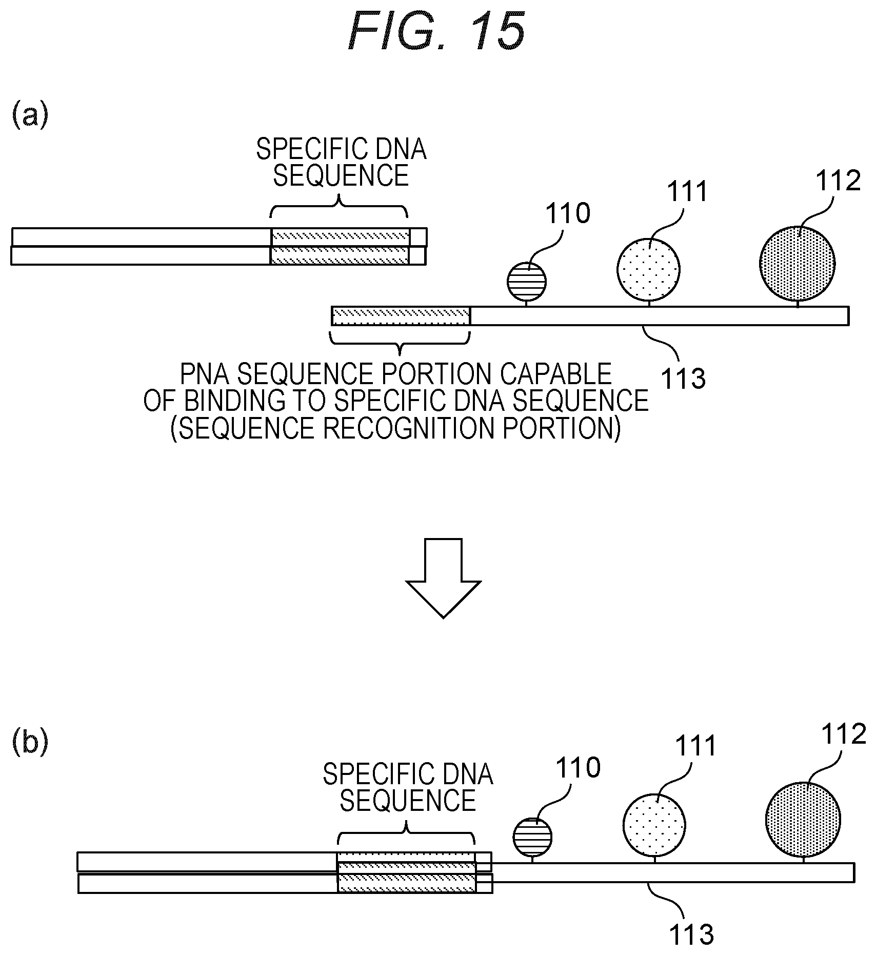 Patent US12378597 Figure 18 – Probe, probe set, and method for identifying desired DNA sequence in solution