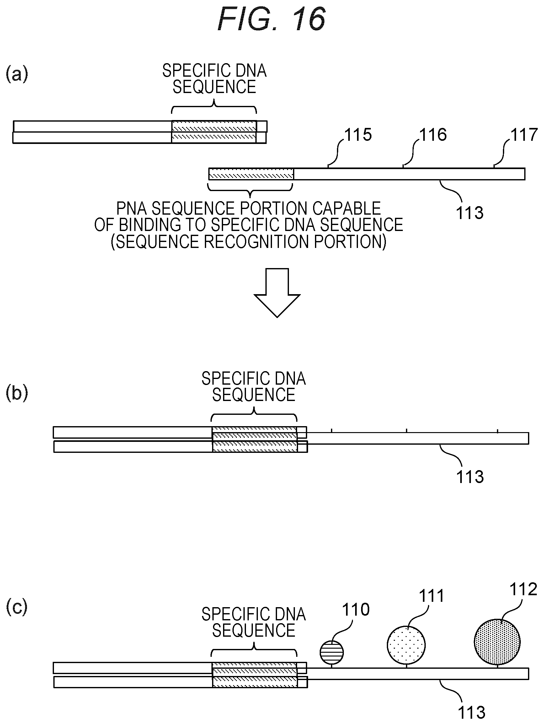 Patent US12378597 Figure 19 – Probe, probe set, and method for identifying desired DNA sequence in solution