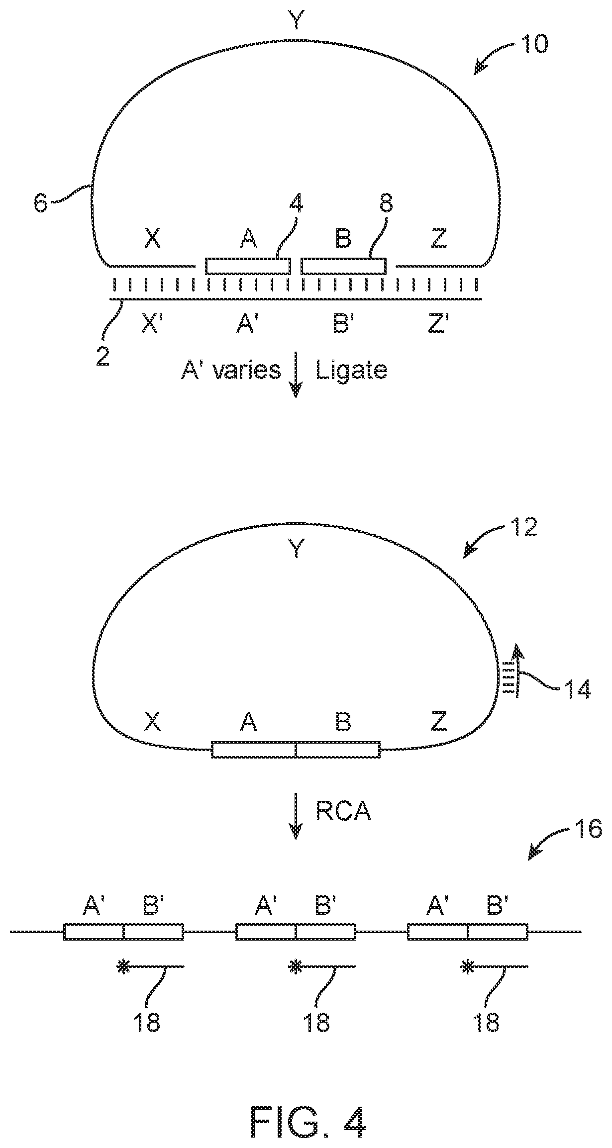 Patent US12378599 Figure 4 – Probe set for analyzing a DNA sample and method for using the same