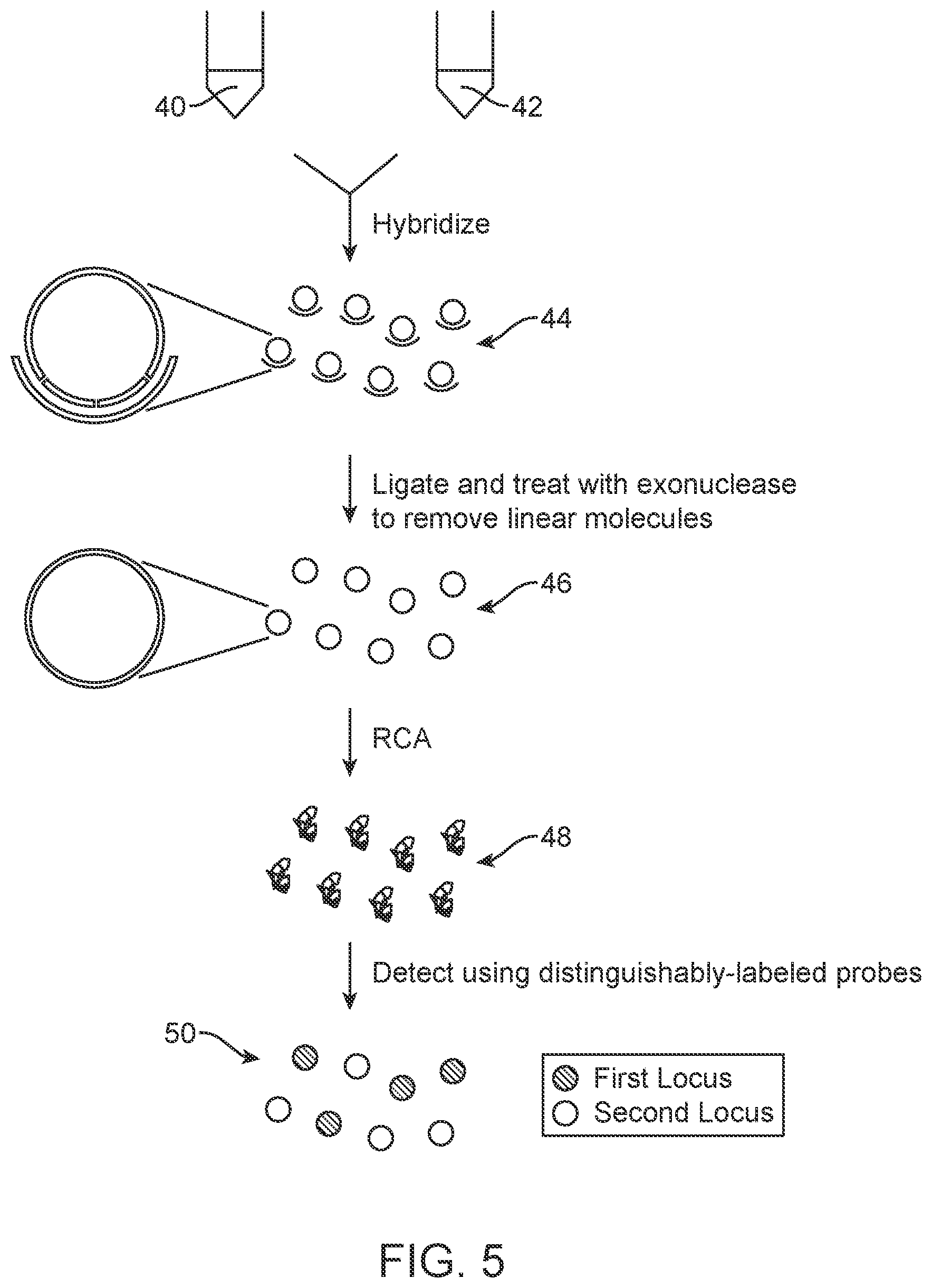 Patent US12378599 Figure 5 – Probe set for analyzing a DNA sample and method for using the same