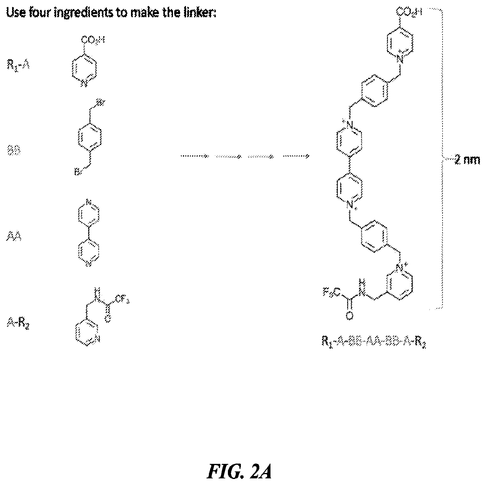 Patent US12378600 Figure 4 – Linkers and methods for optical detection and sequencing