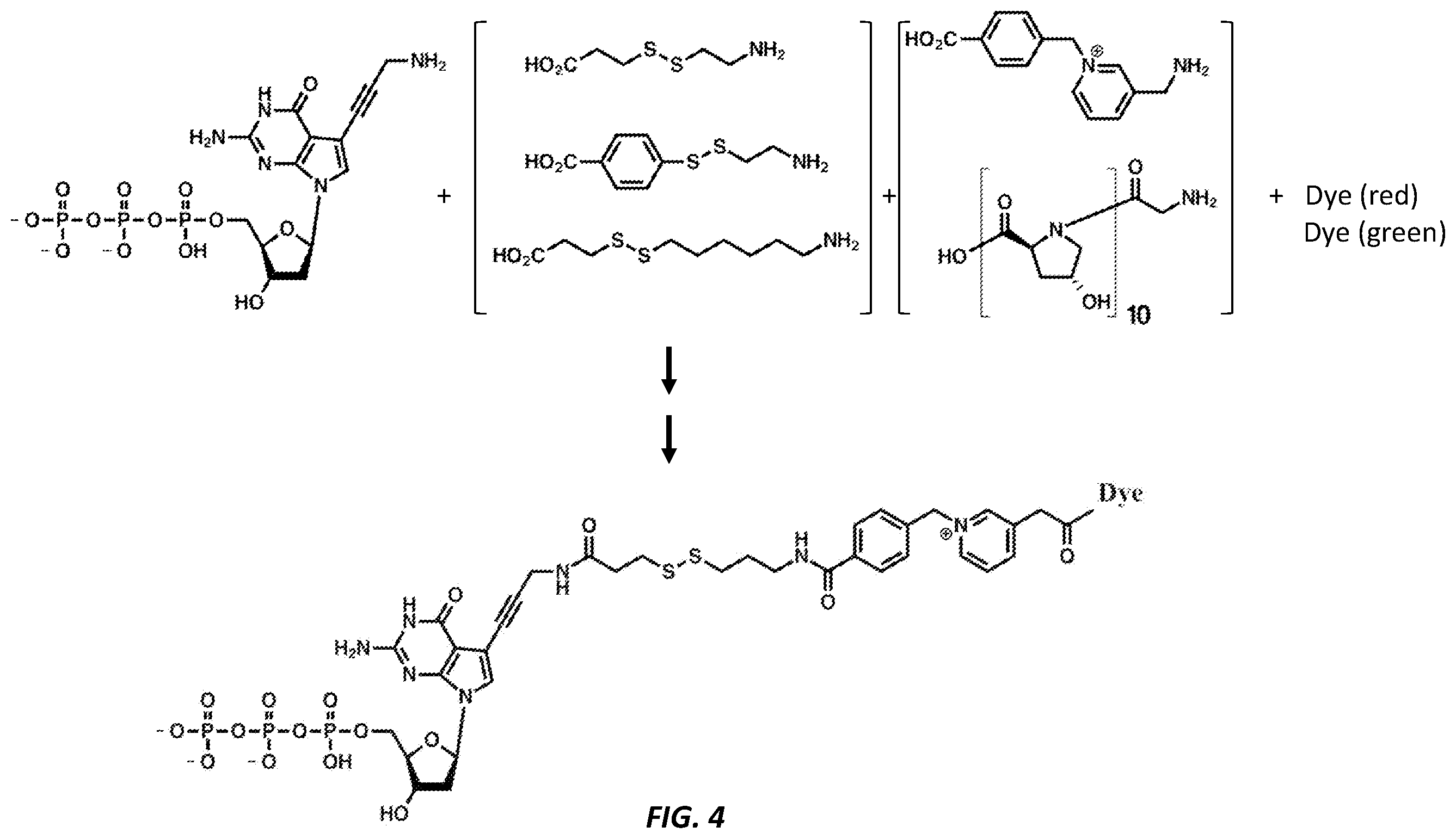 Patent US12378600 Figure 8 – Linkers and methods for optical detection and sequencing