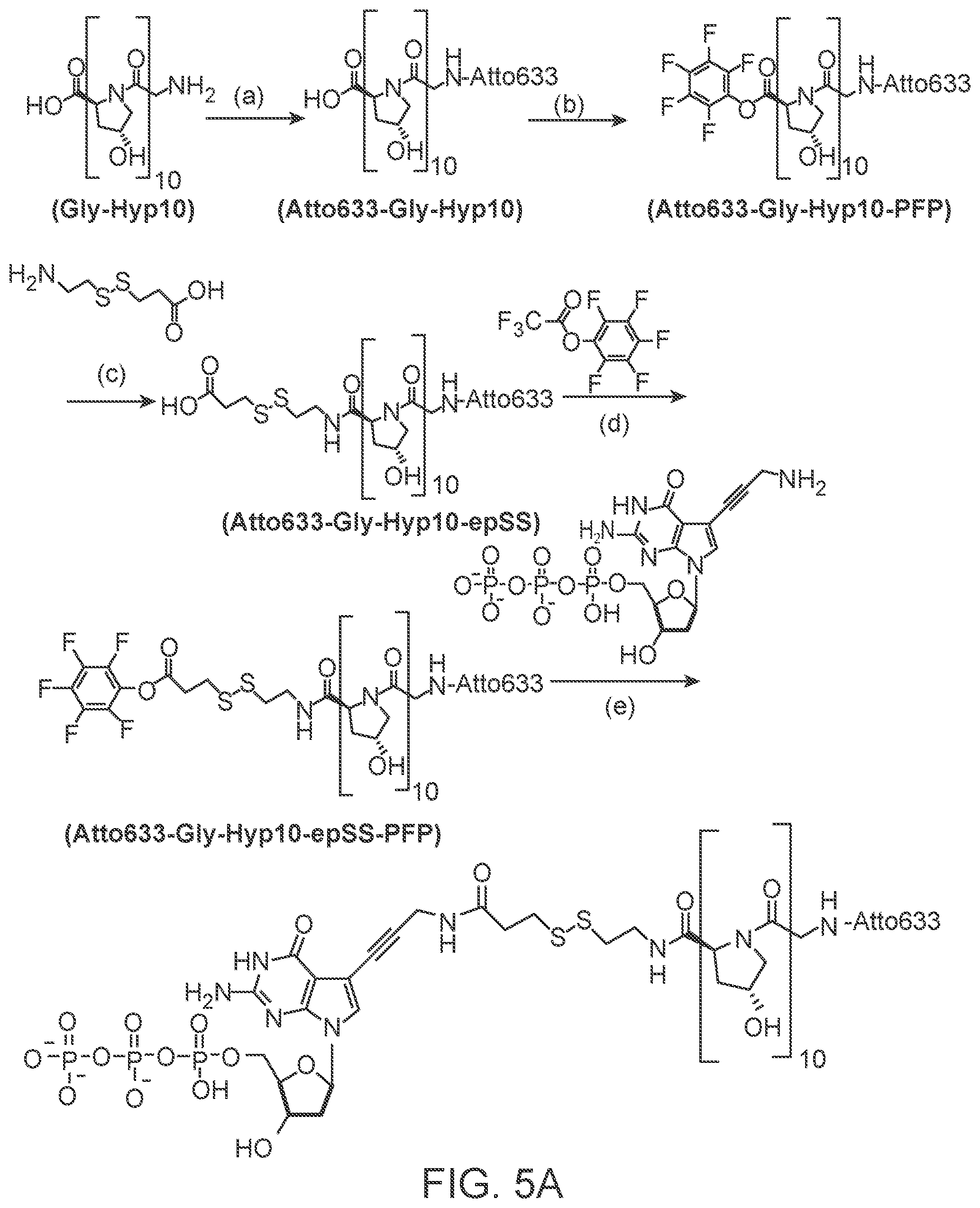 Patent US12378600 Figure 9 – Linkers and methods for optical detection and sequencing