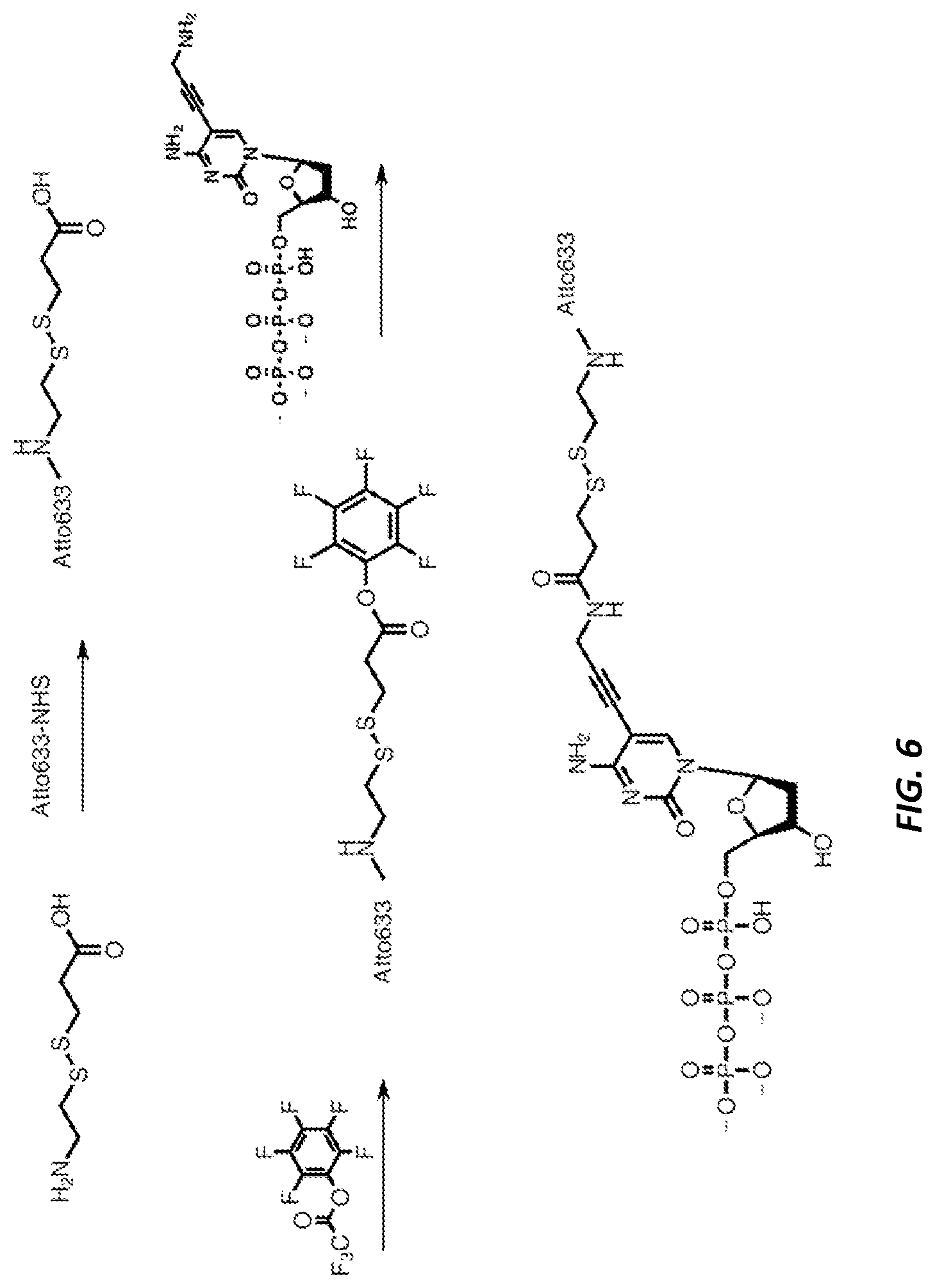 Patent US12378600 Figure 11 – Linkers and methods for optical detection and sequencing