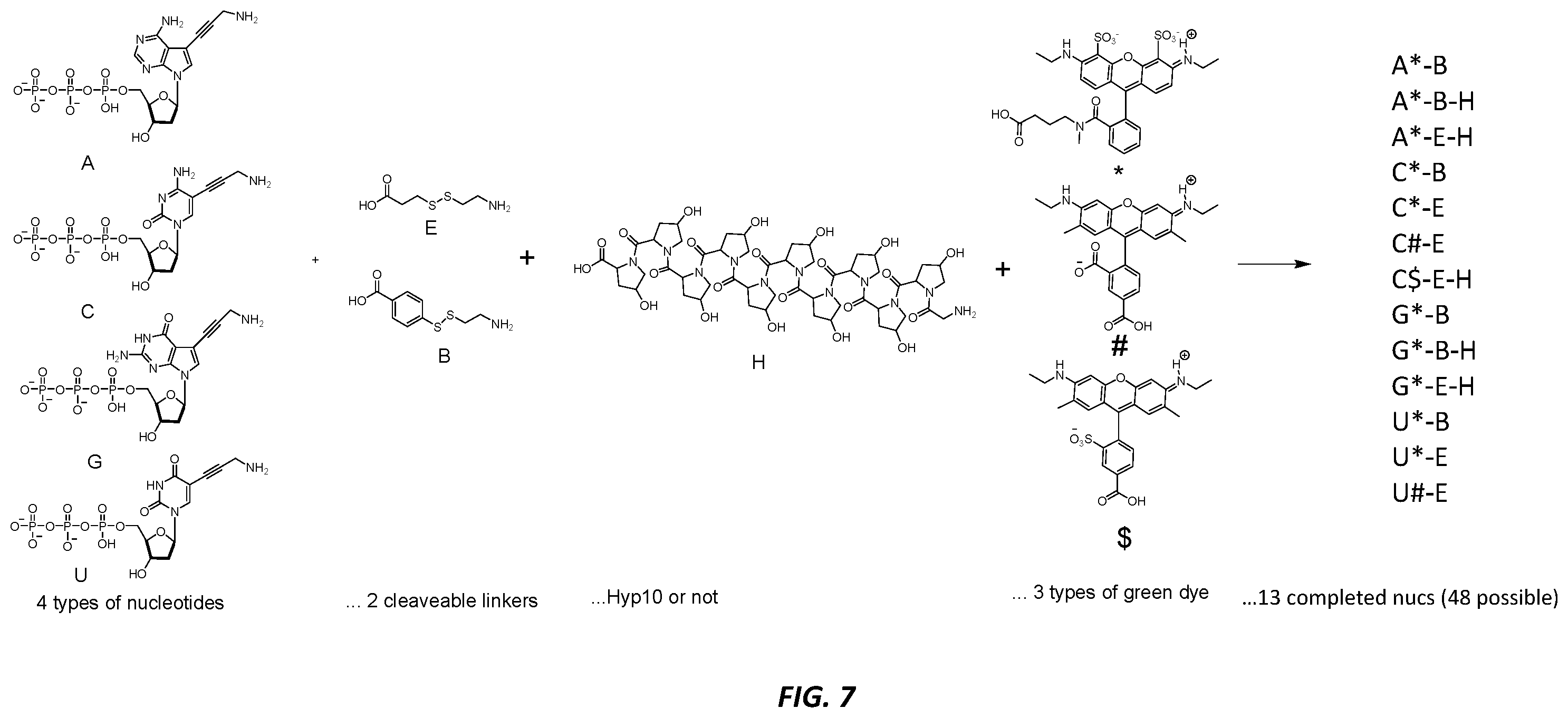 Patent US12378600 Figure 12 – Linkers and methods for optical detection and sequencing