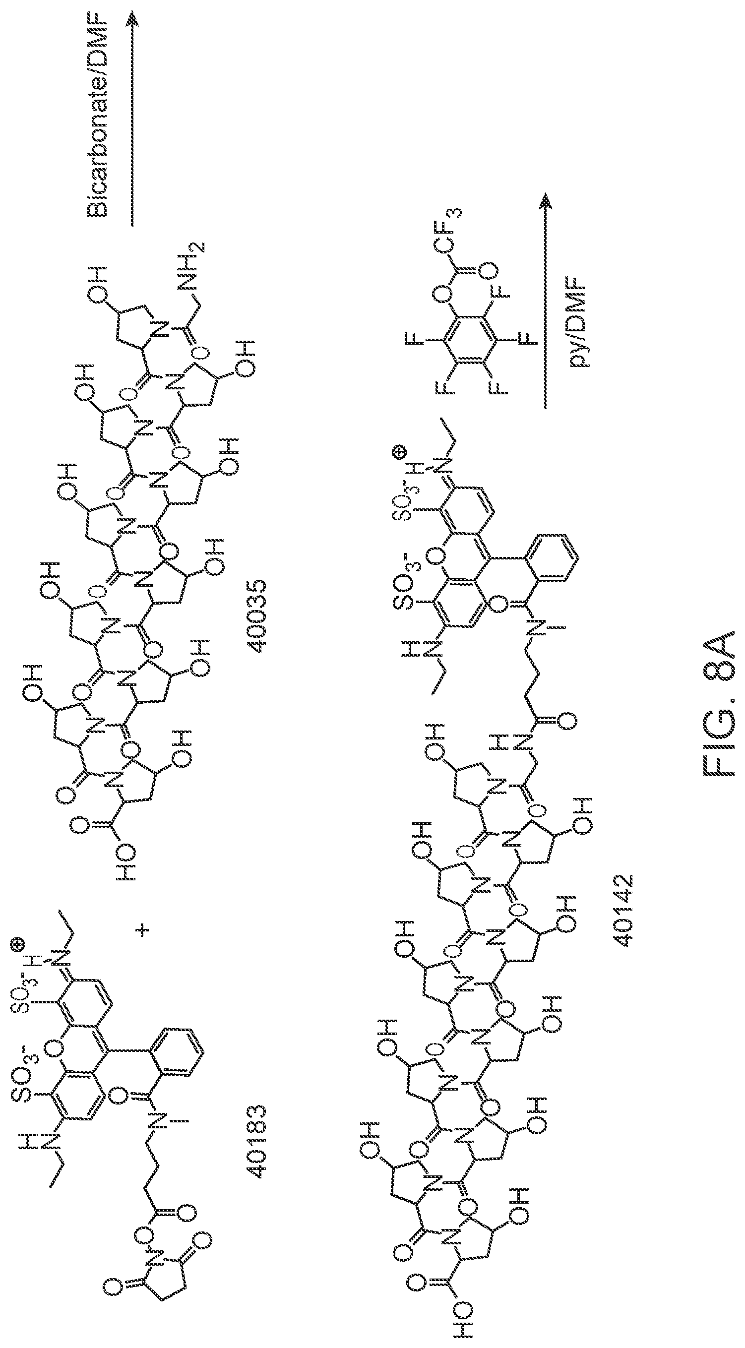 Patent US12378600 Figure 13 – Linkers and methods for optical detection and sequencing