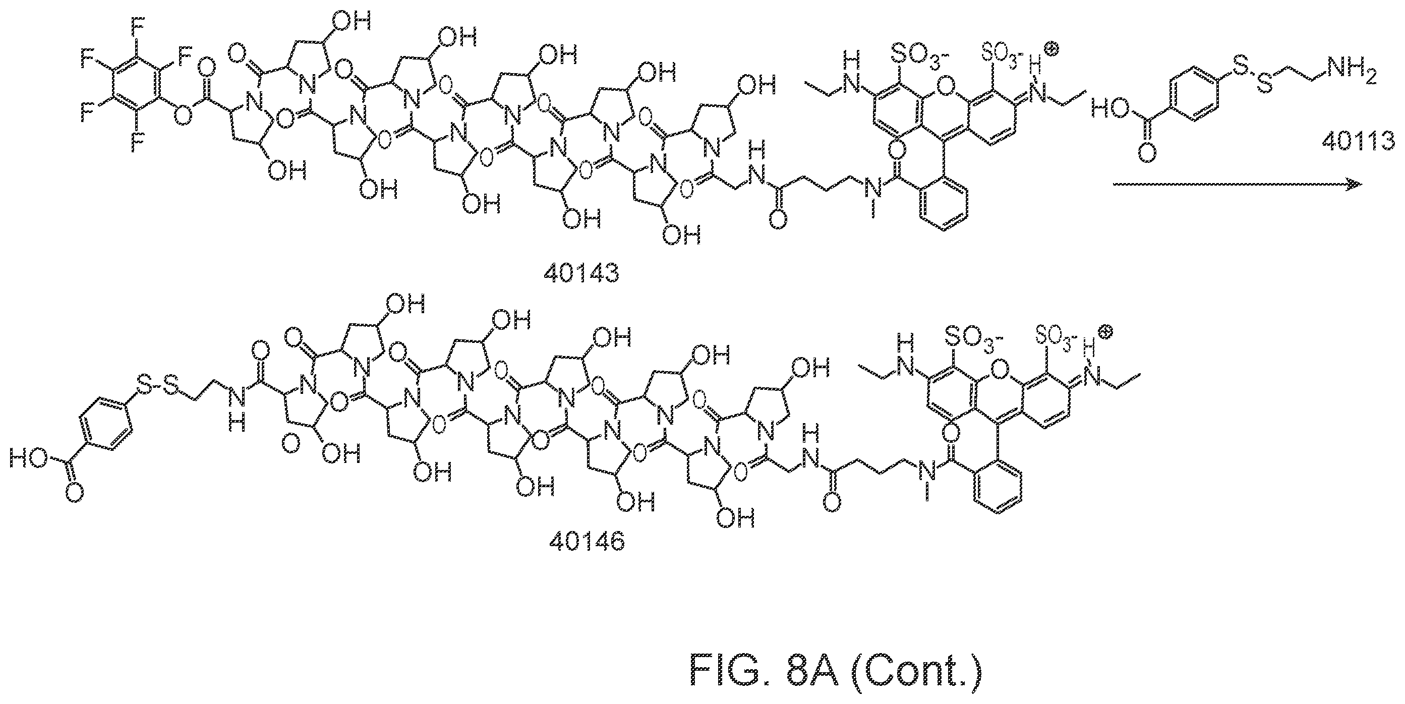 Patent US12378600 Figure 14 – Linkers and methods for optical detection and sequencing