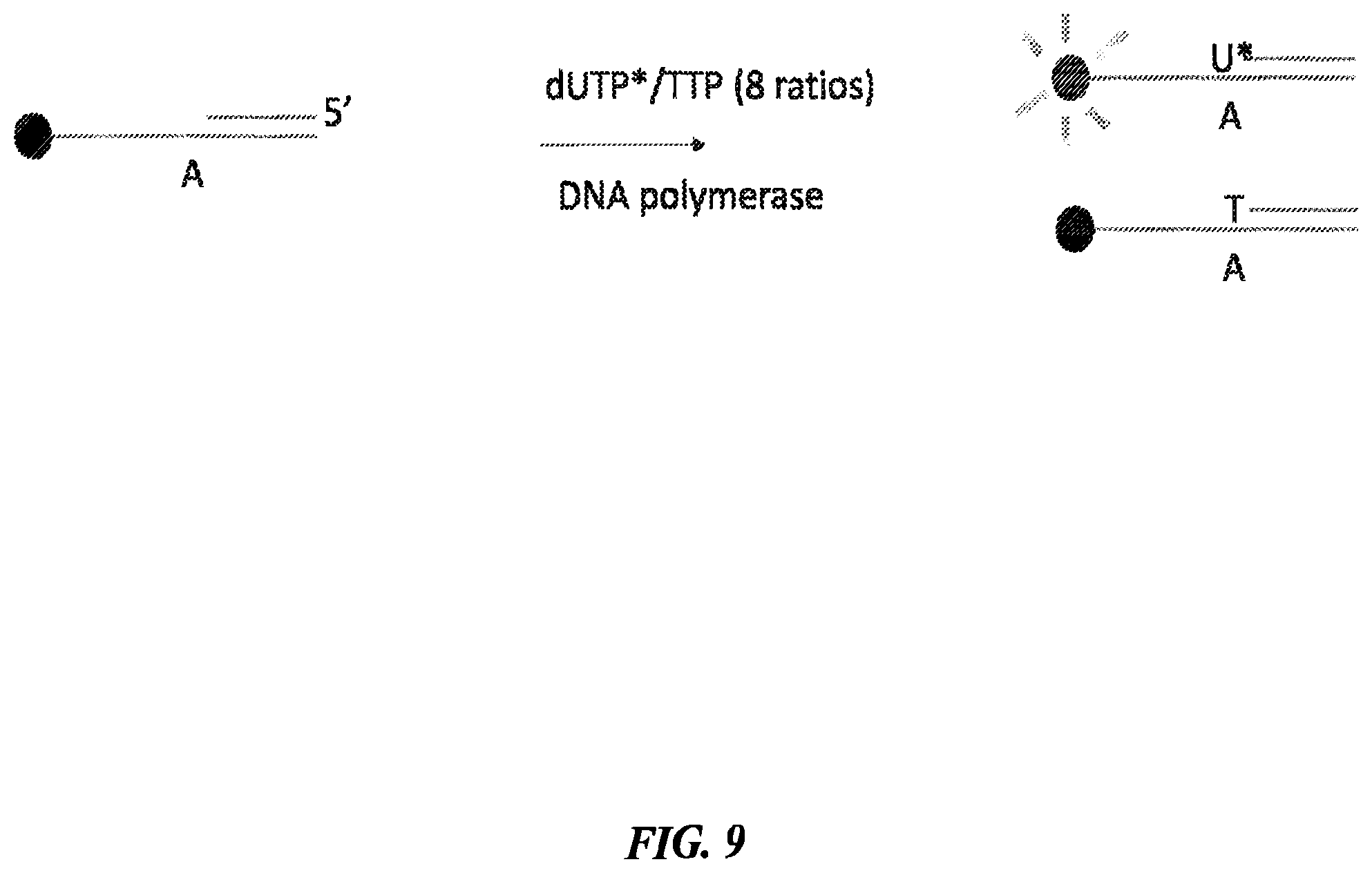 Patent US12378600 Figure 16 – Linkers and methods for optical detection and sequencing