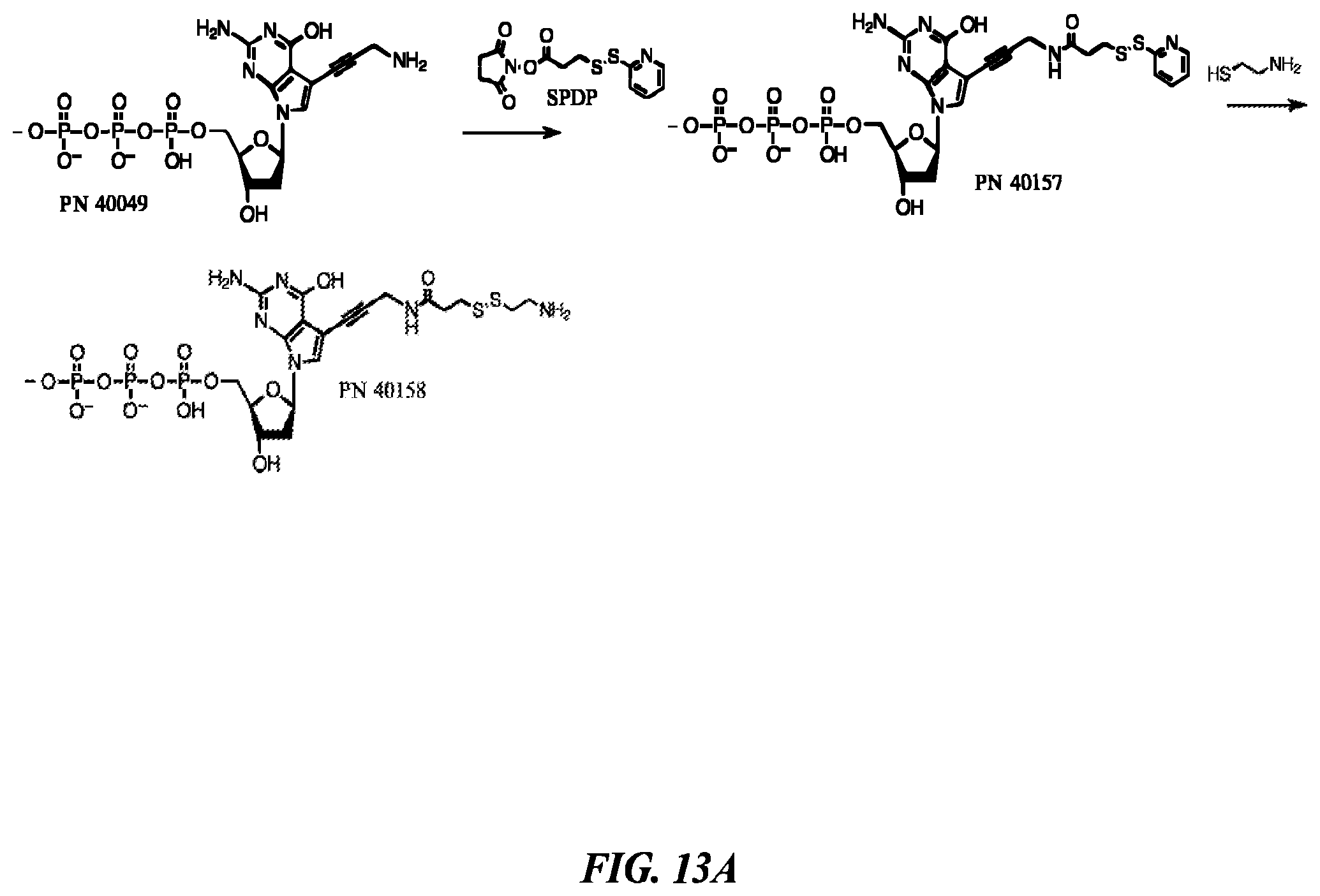 Patent US12378600 Figure 20 – Linkers and methods for optical detection and sequencing