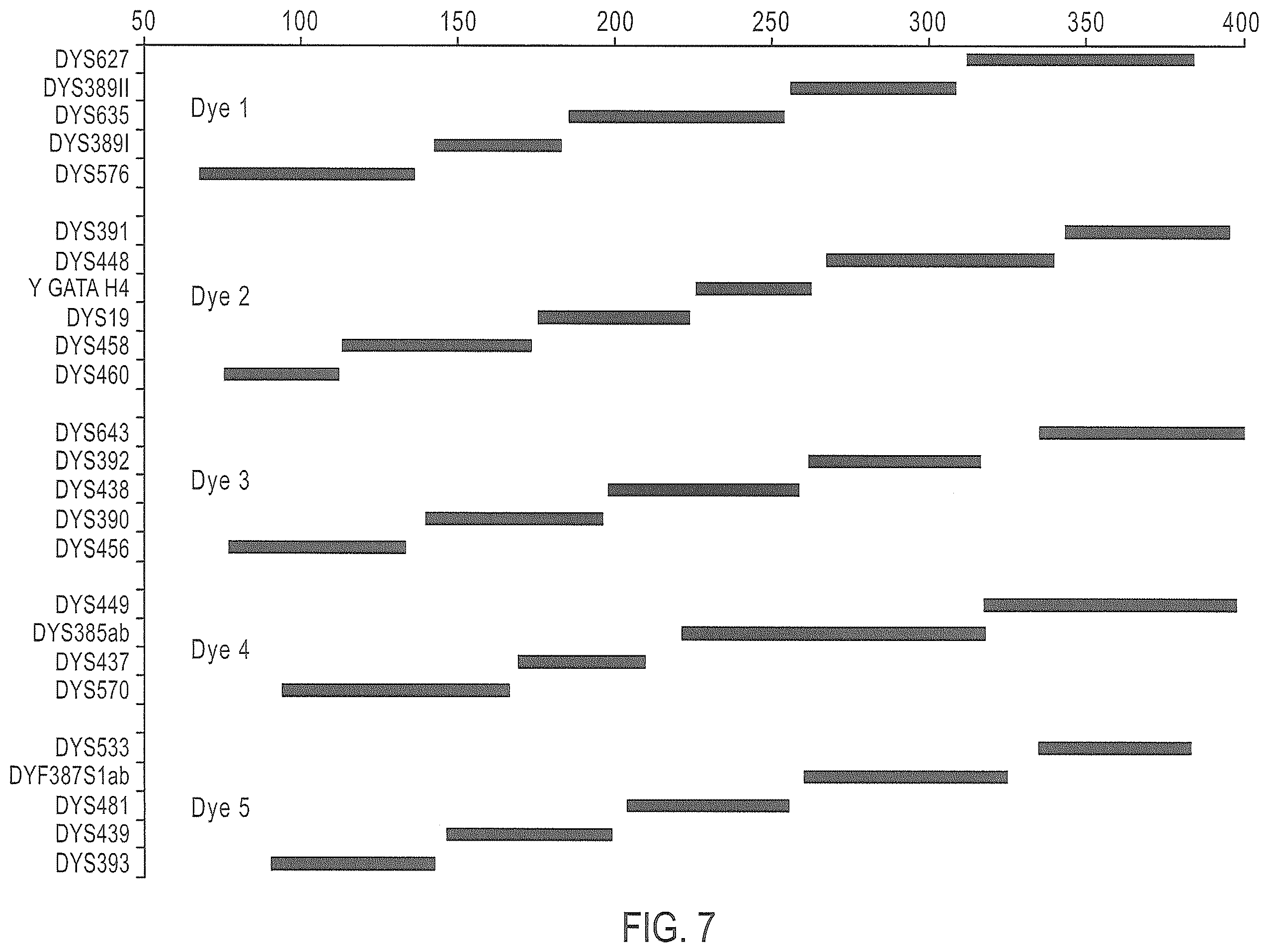 Patent US12378601 Figure 7 – Multiplex Y-STR analysis