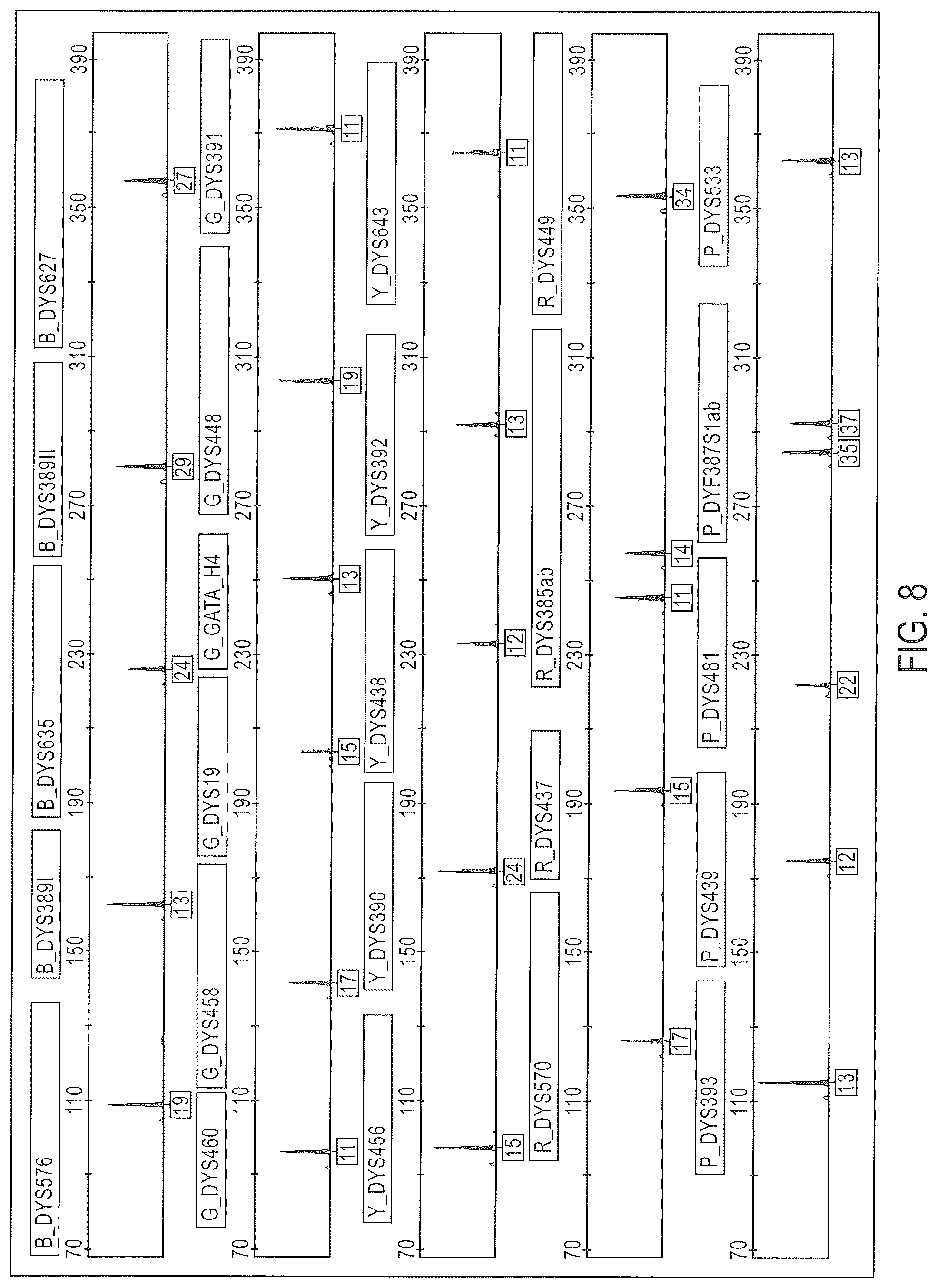 Patent US12378601 Figure 8 – Multiplex Y-STR analysis