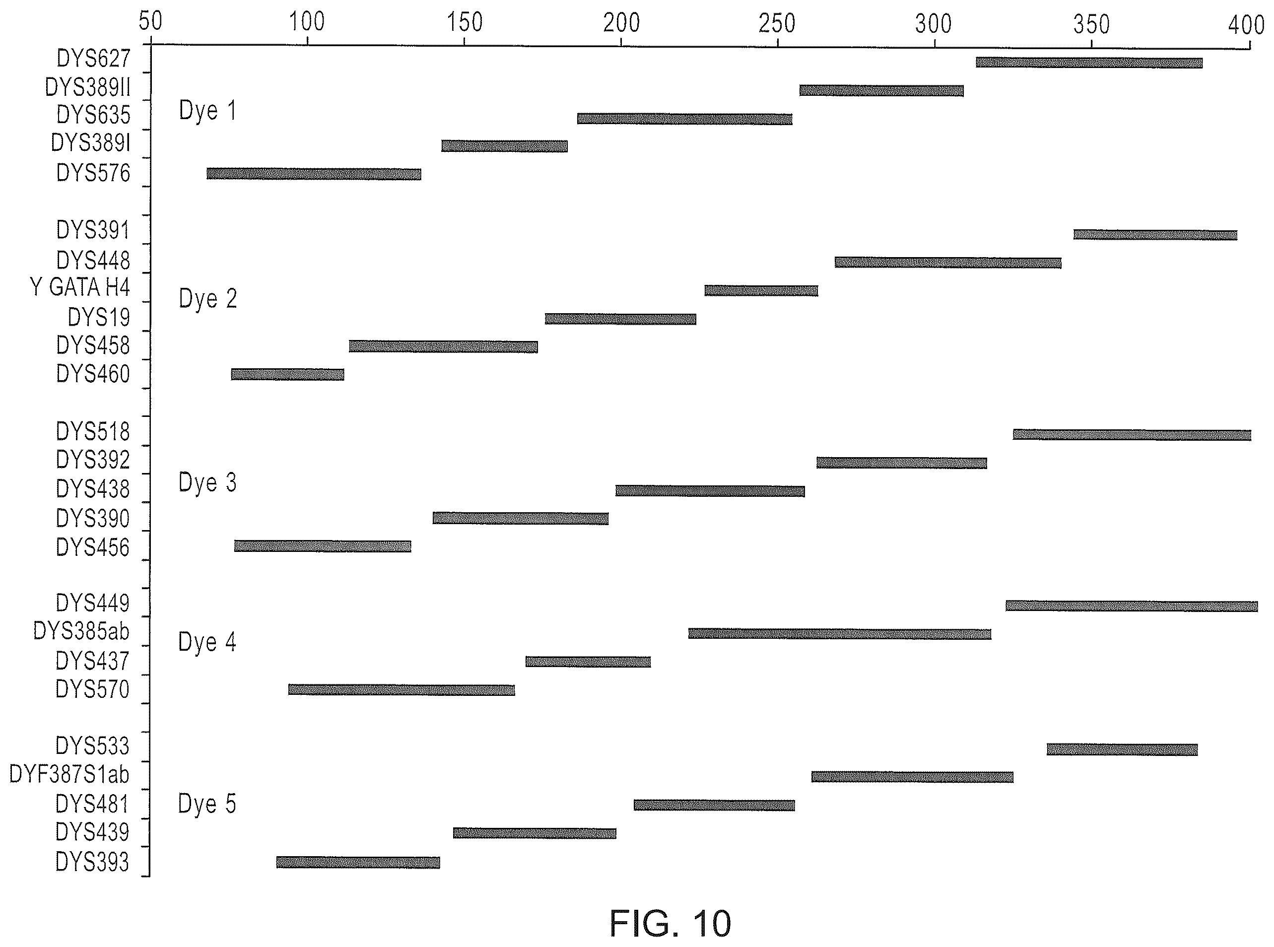 Patent US12378601 Figure 10 – Multiplex Y-STR analysis