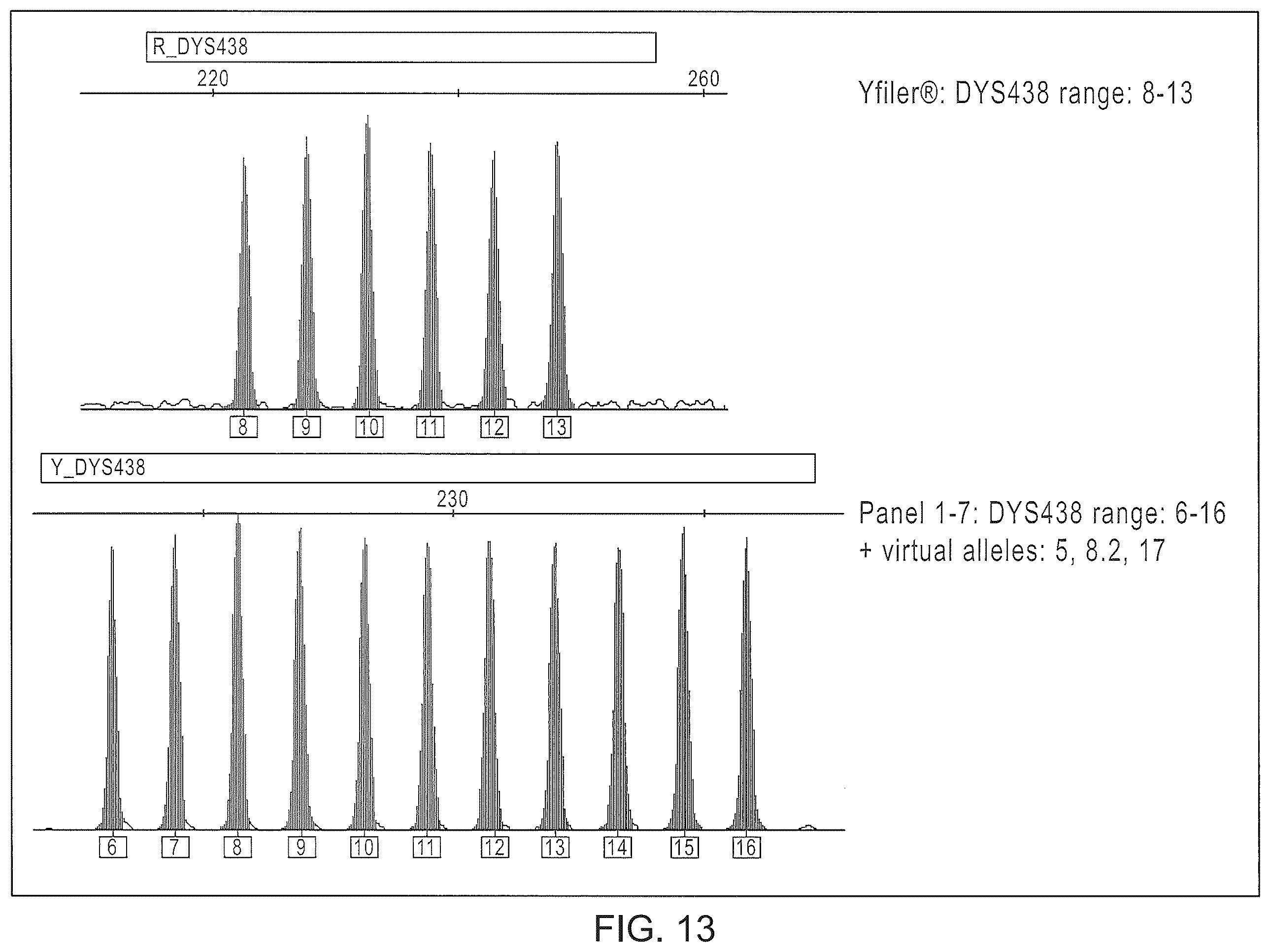 Patent US12378601 Figure 13 – Multiplex Y-STR analysis