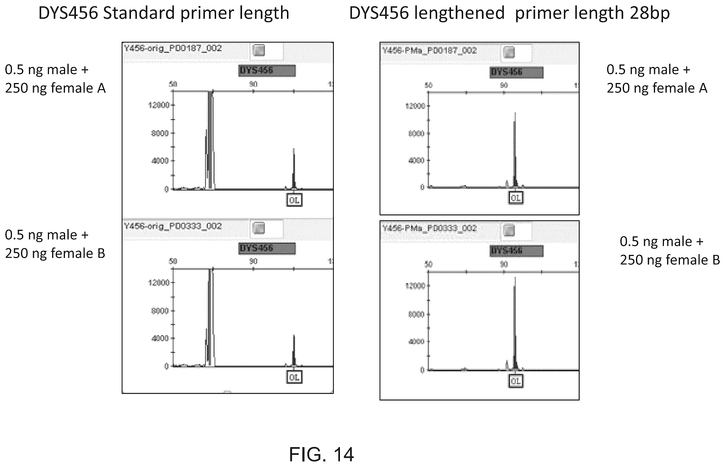 Patent US12378601 Figure 14 – Multiplex Y-STR analysis