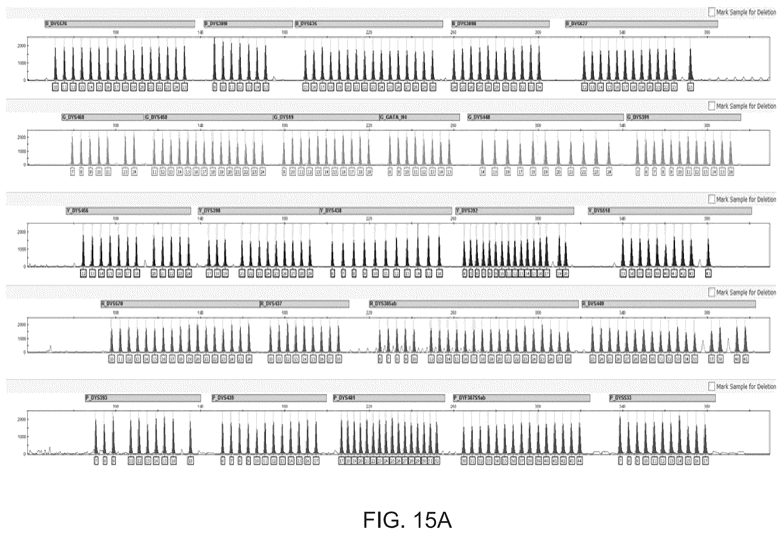 Patent US12378601 Figure 15 – Multiplex Y-STR analysis