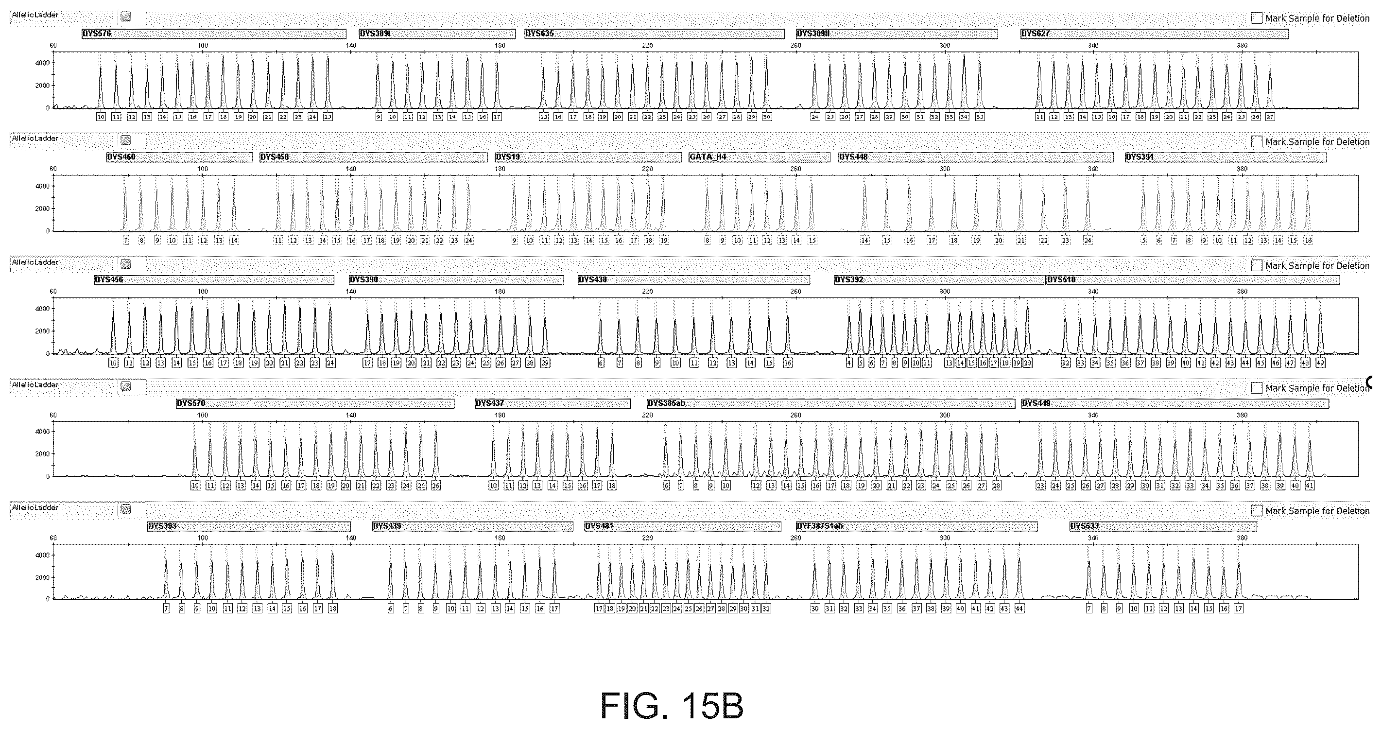 Patent US12378601 Figure 16 – Multiplex Y-STR analysis