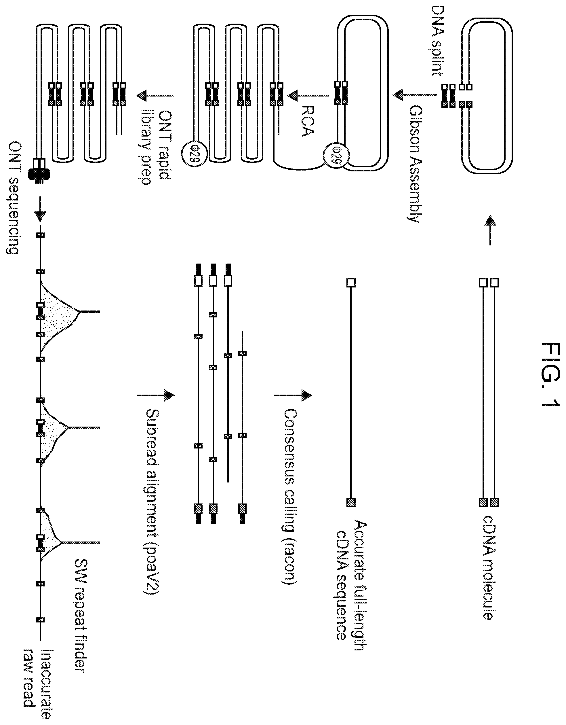Patent US12378603 Figure 1 – Nucleic acid sequencing methods and computer-readable media for practicing same
