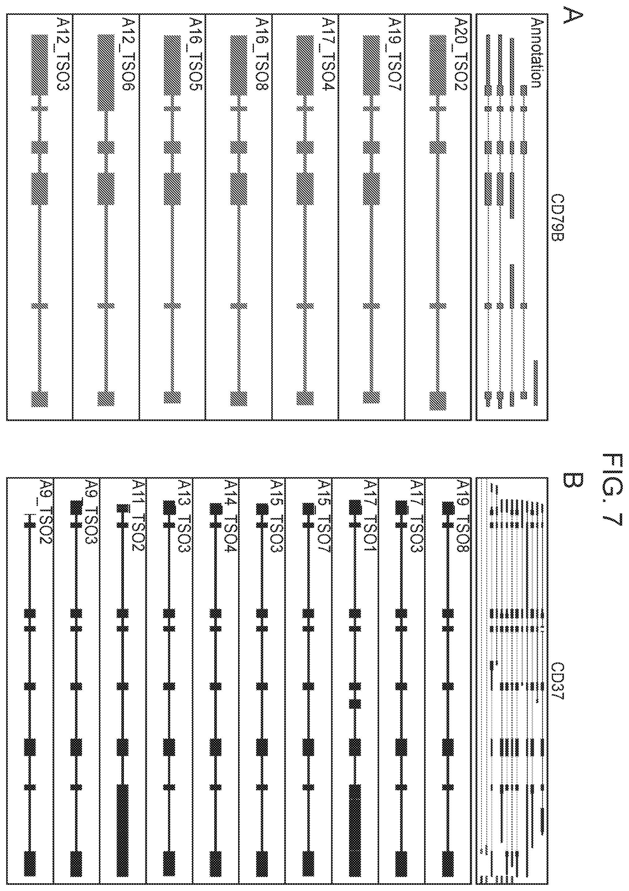Patent US12378603 Figure 10 – Nucleic acid sequencing methods and computer-readable media for practicing same