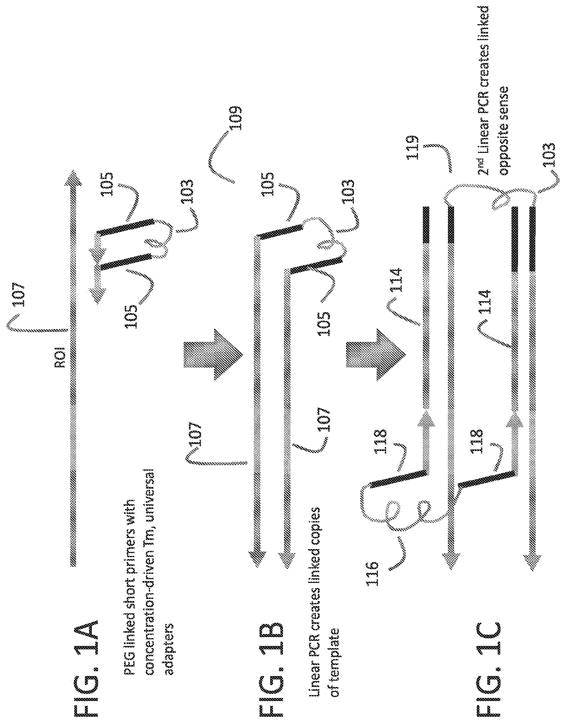 Patent US12378605 Figure 1 – Linked target capture