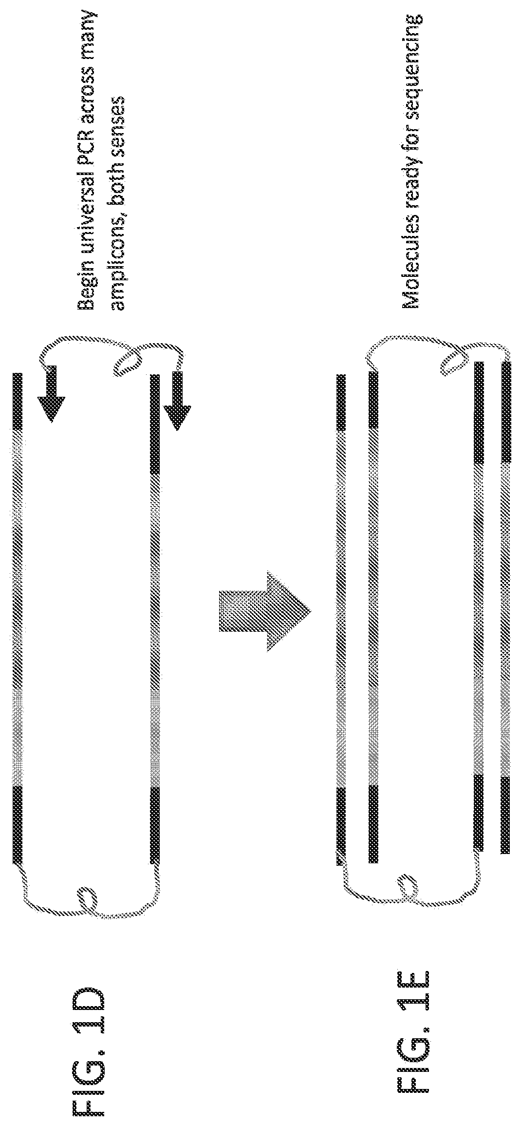 Patent US12378605 Figure 2 – Linked target capture