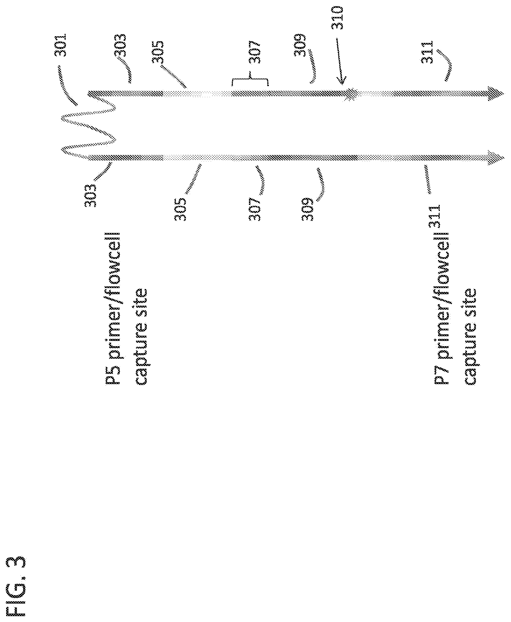 Patent US12378605 Figure 4 – Linked target capture