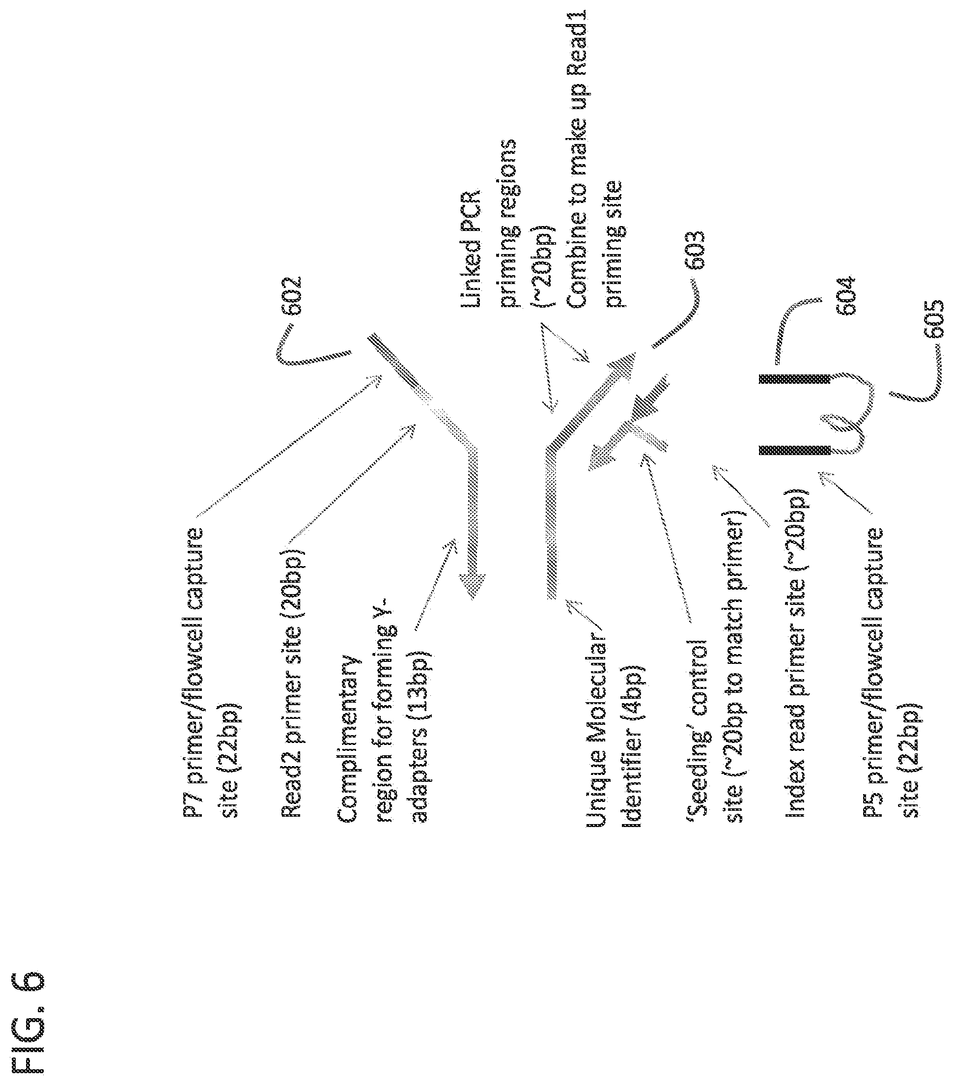 Patent US12378605 Figure 9 – Linked target capture
