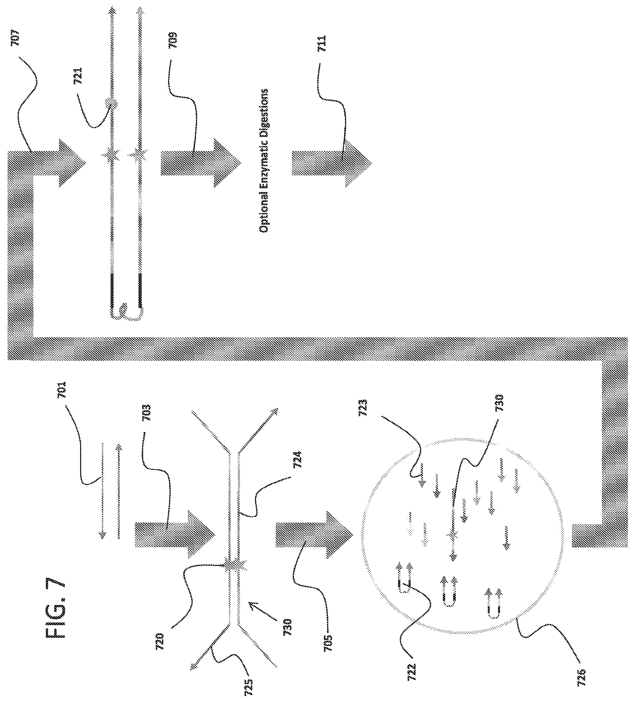Patent US12378605 Figure 10 – Linked target capture