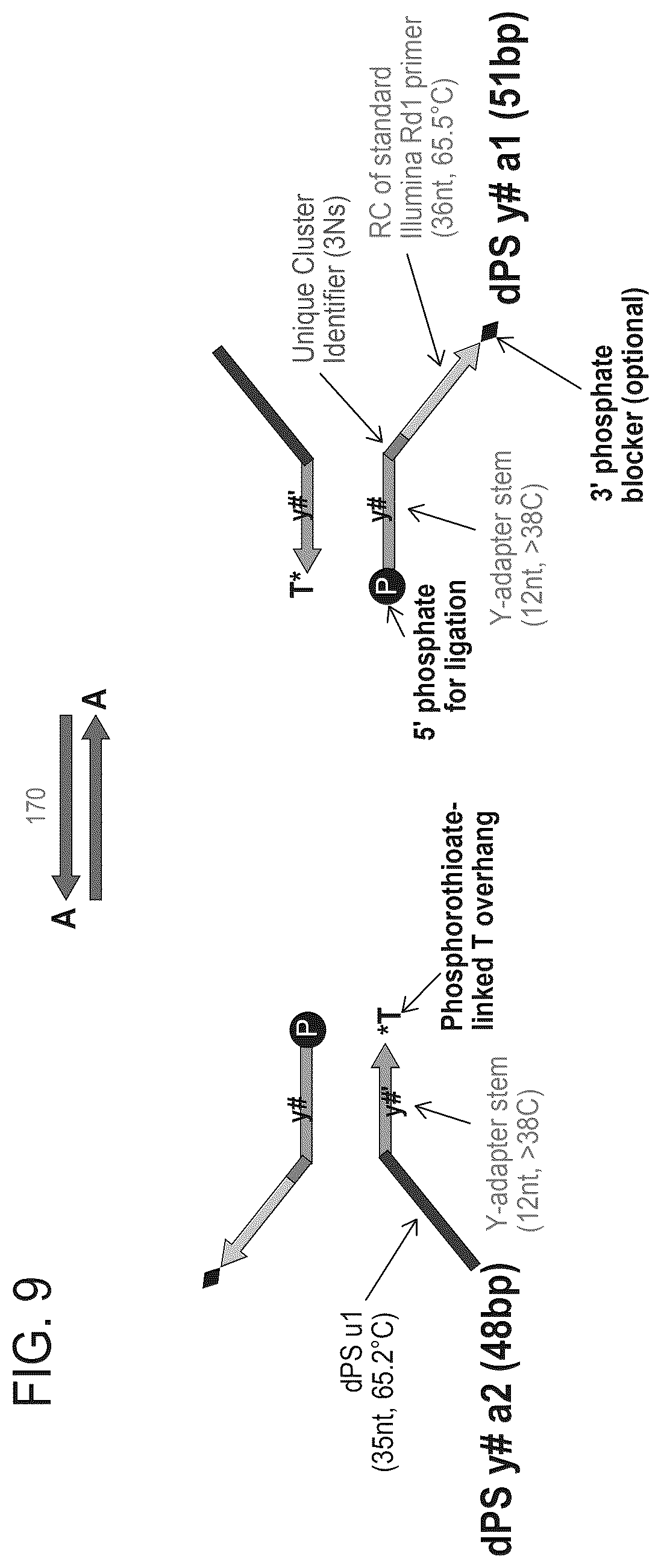 Patent US12378605 Figure 12 – Linked target capture