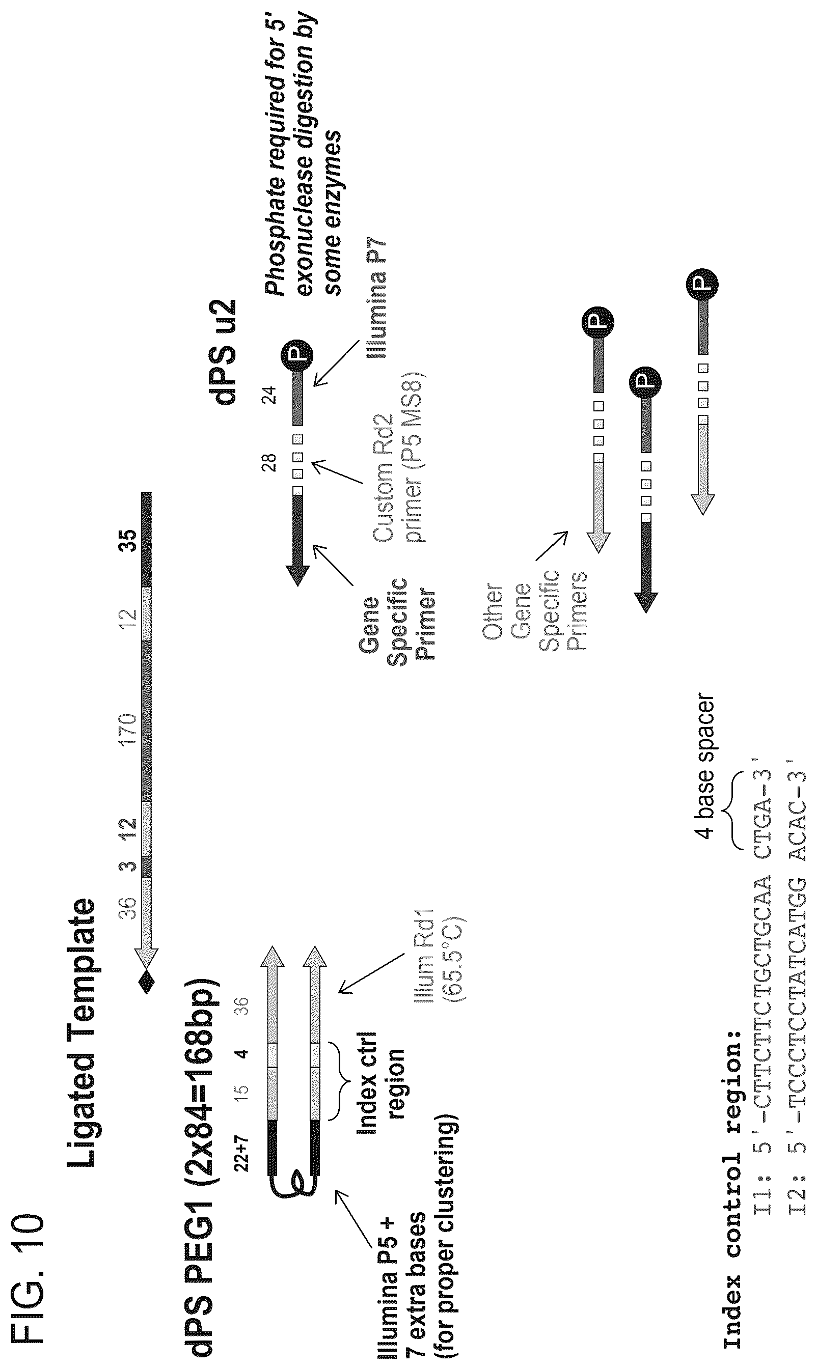 Patent US12378605 Figure 13 – Linked target capture