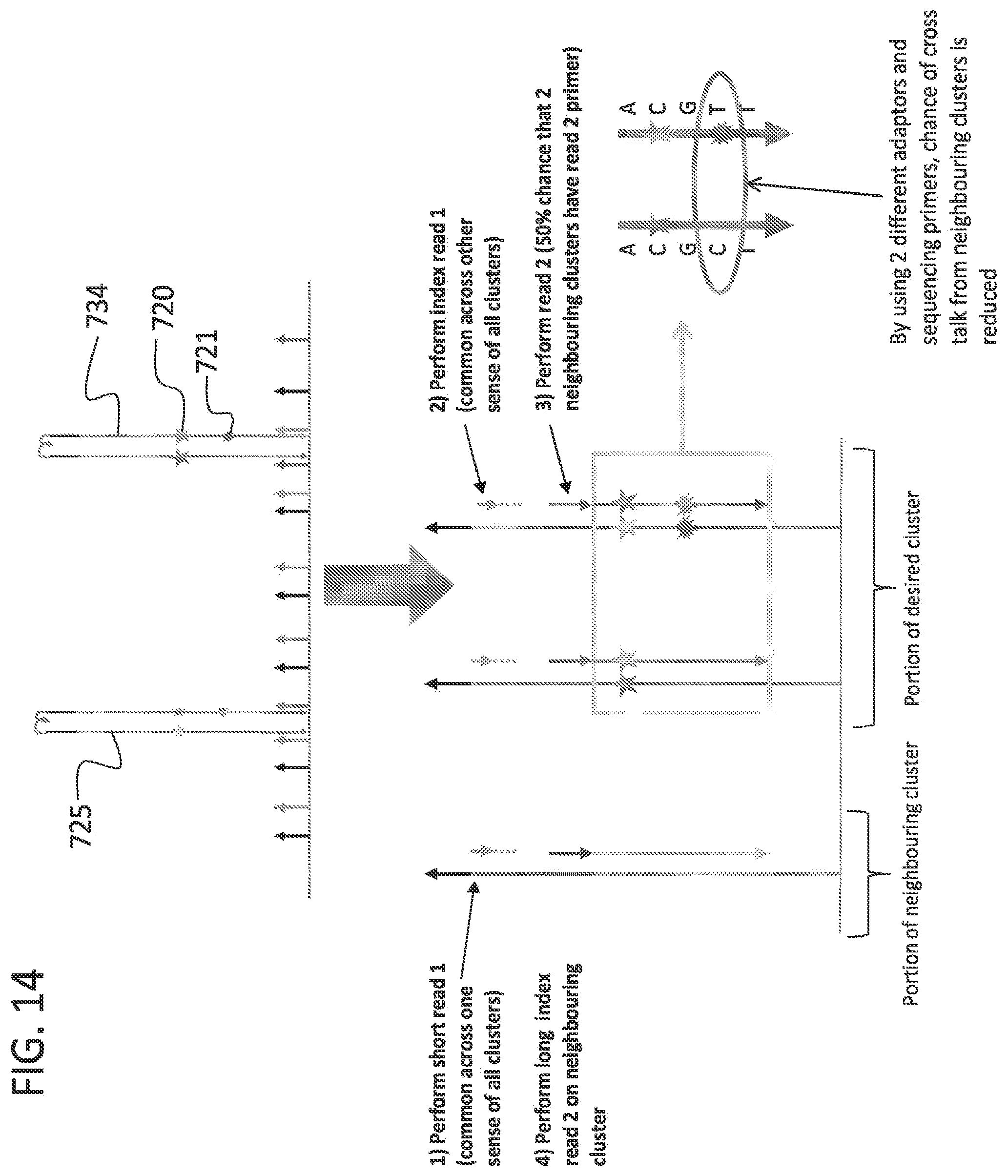 Patent US12378605 Figure 17 – Linked target capture