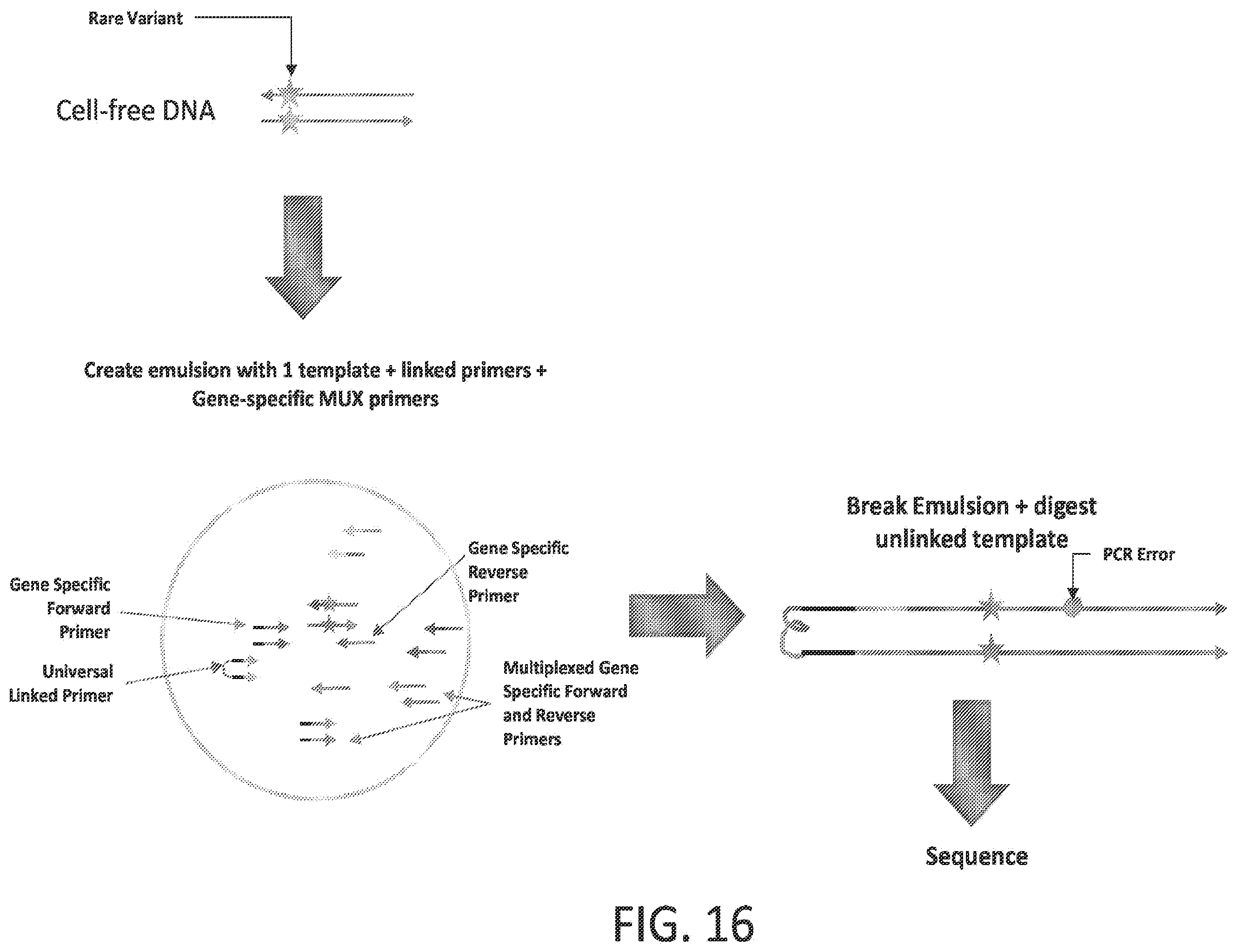Patent US12378605 Figure 19 – Linked target capture
